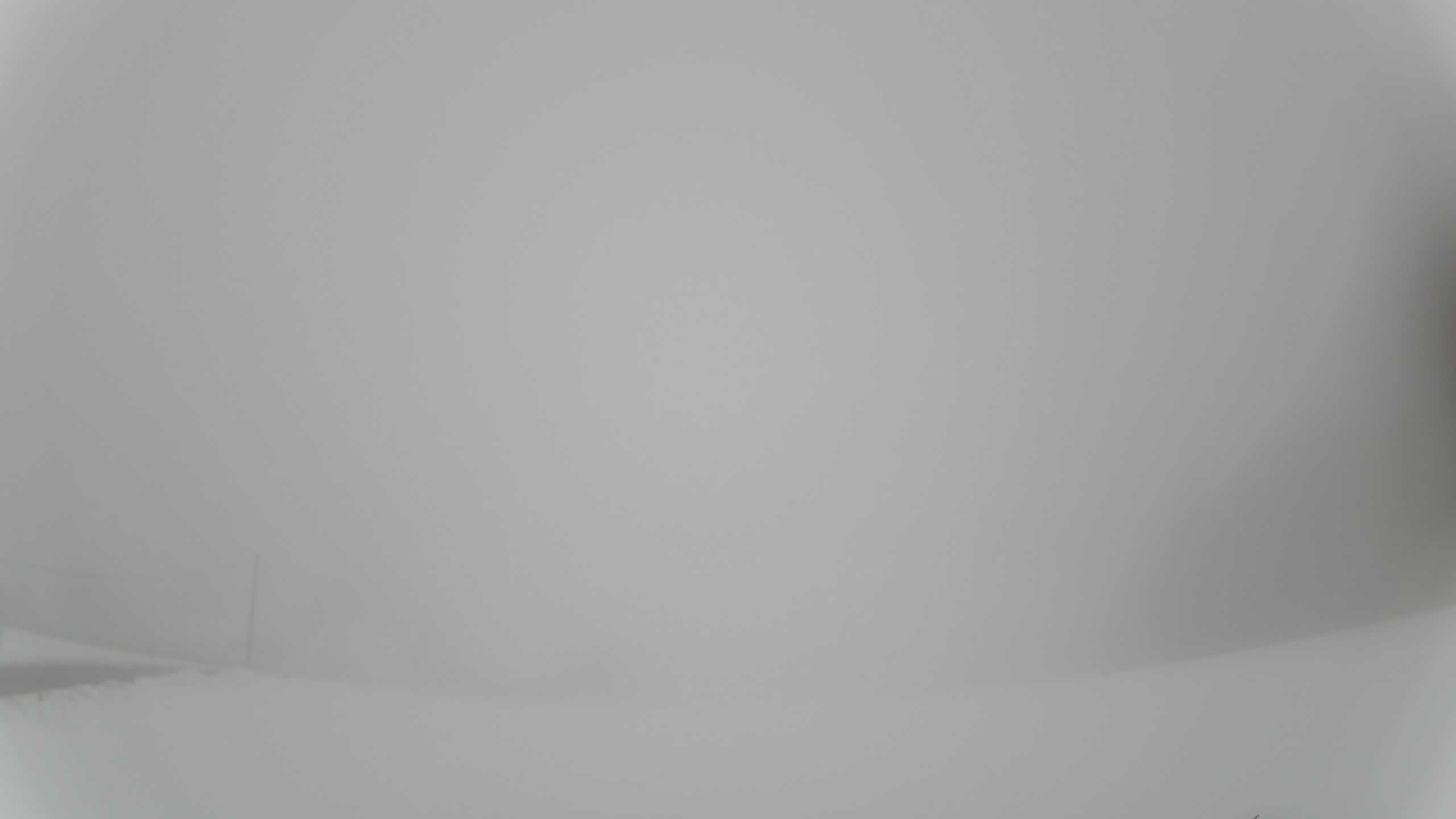 Archiv Foto Webcam Neureichenau