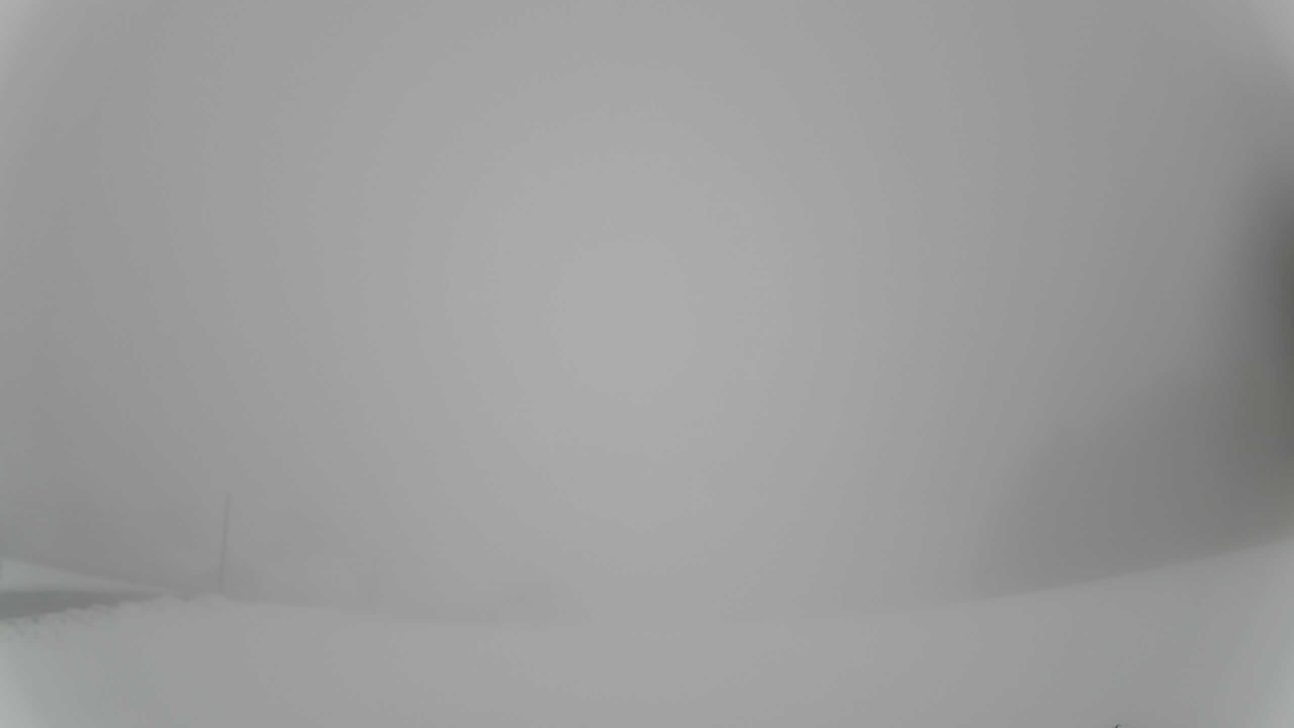 Archiv Foto Webcam Neureichenau