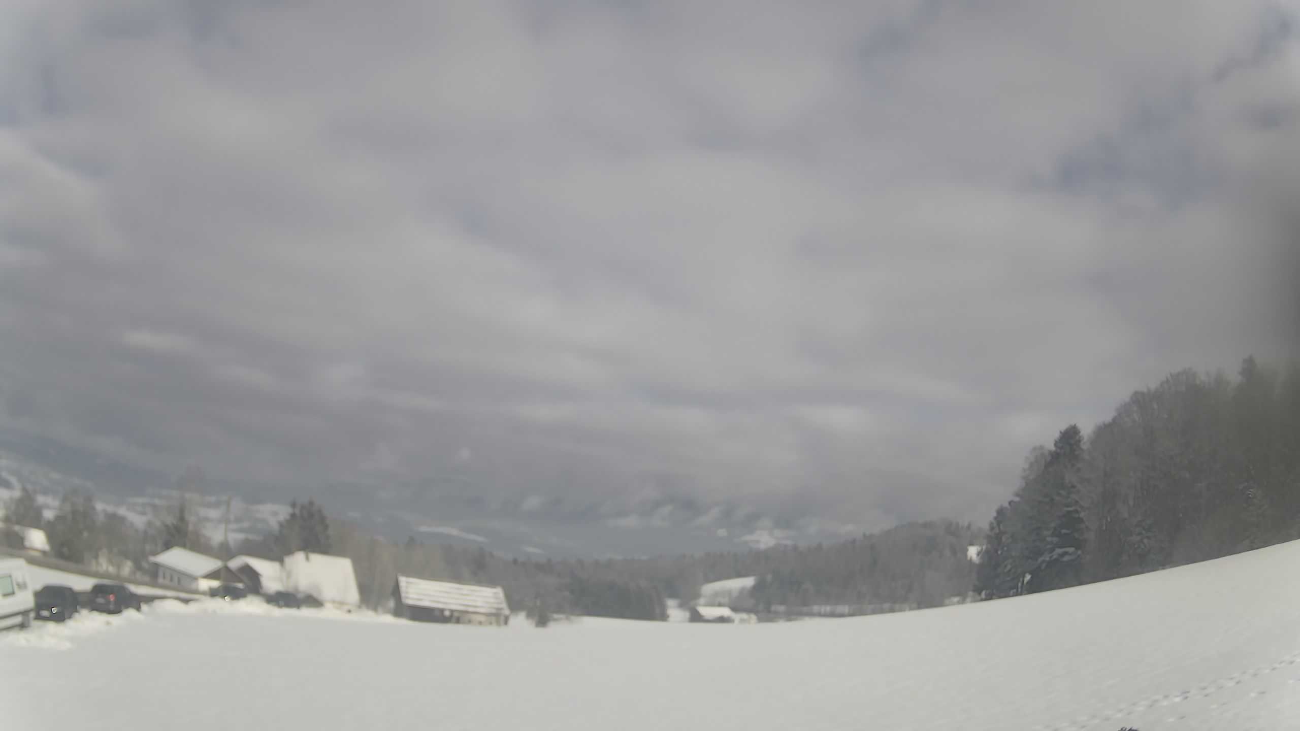 Archiv Foto Webcam Neureichenau
