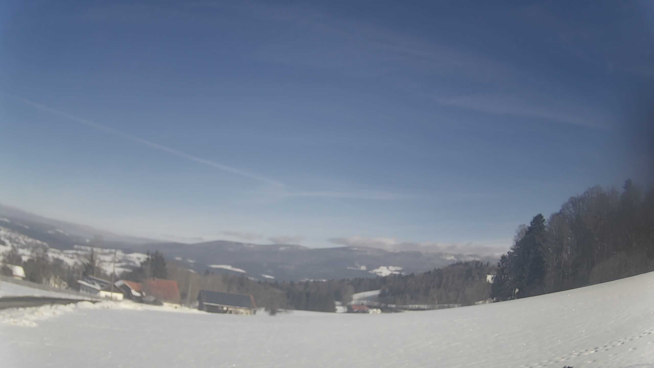 Archiv Foto Webcam Neureichenau