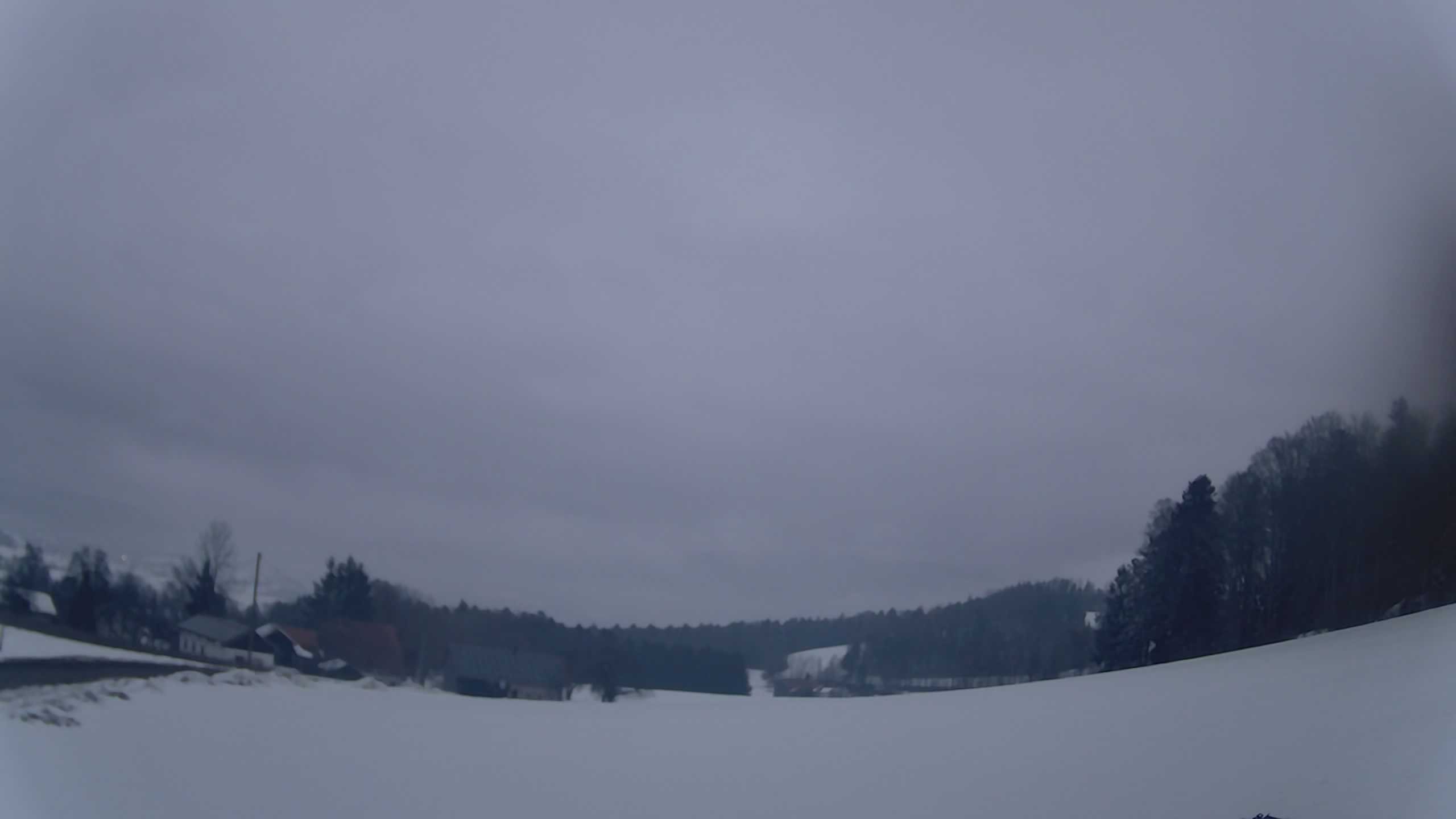 Archiv Foto Webcam Neureichenau