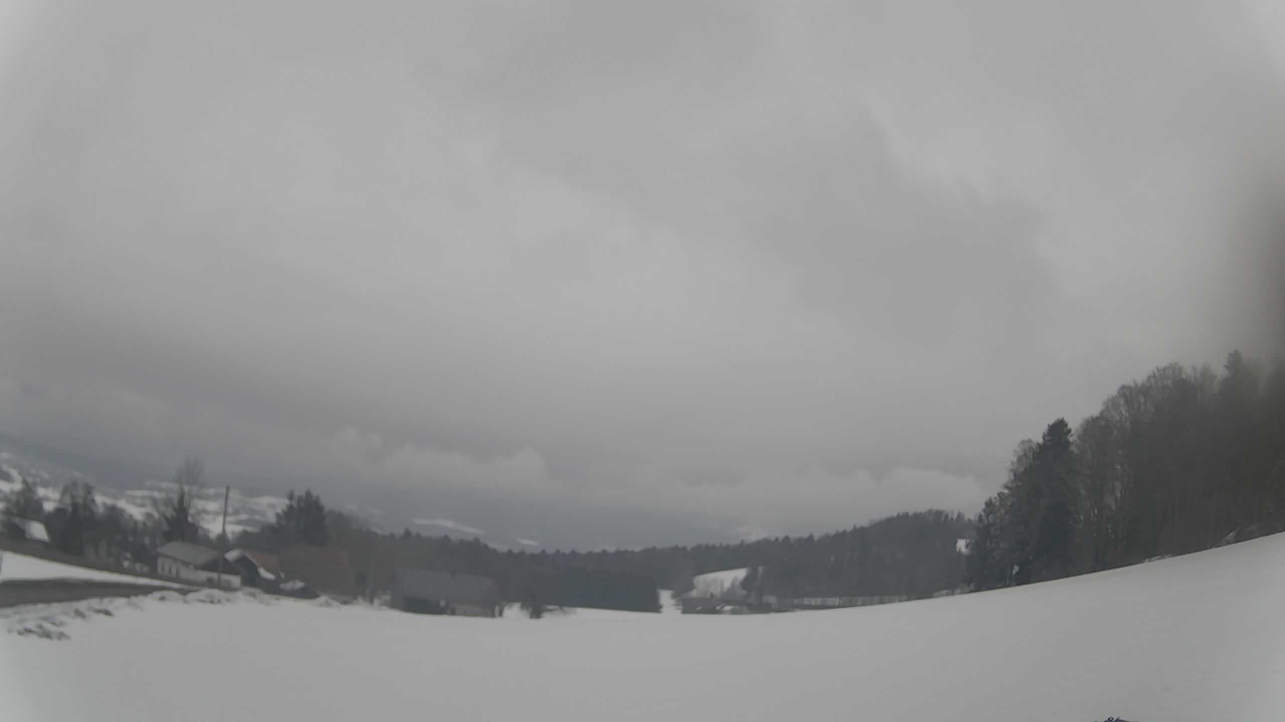 Archiv Foto Webcam Neureichenau