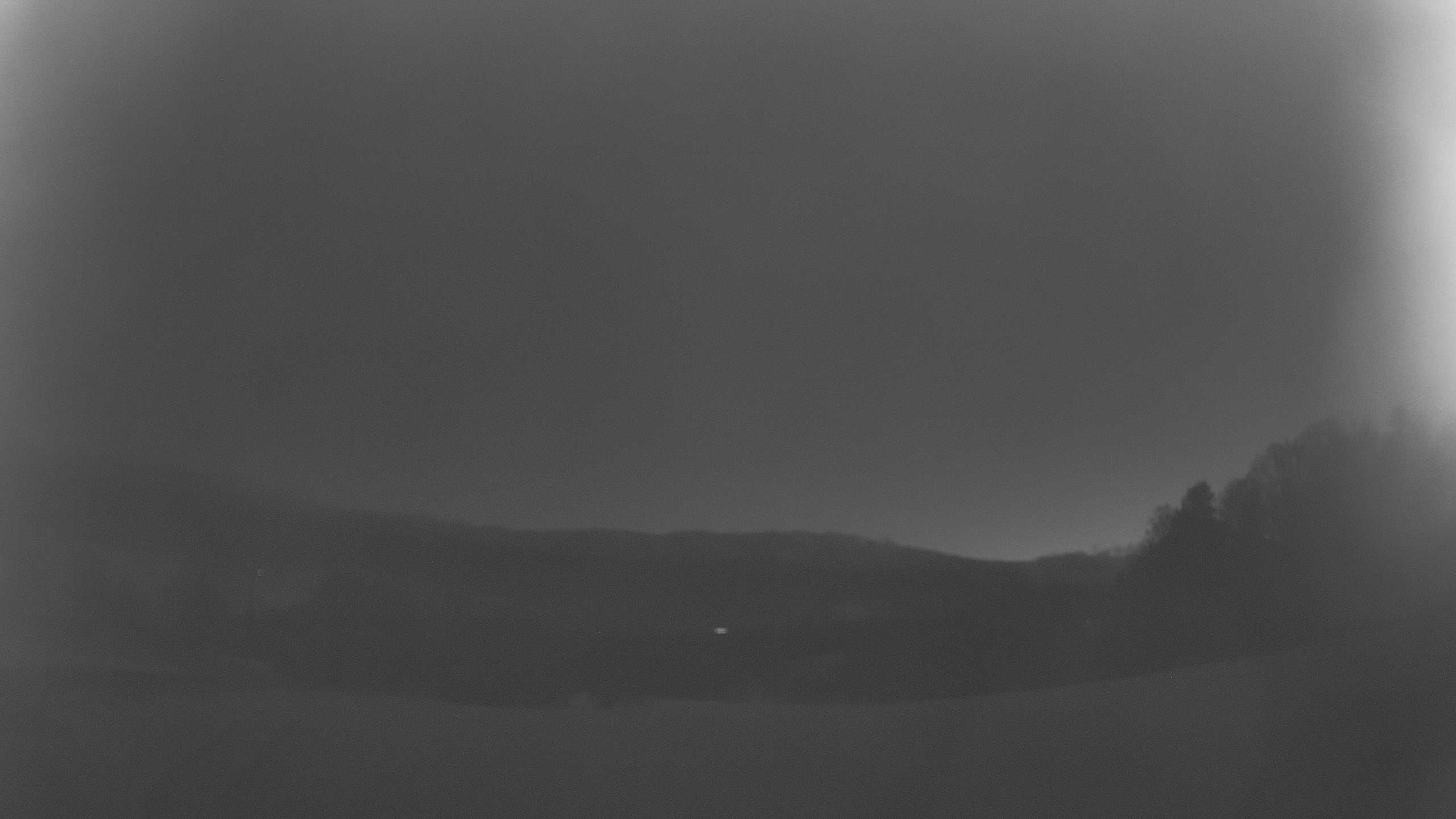 Archiv Foto Webcam Neureichenau