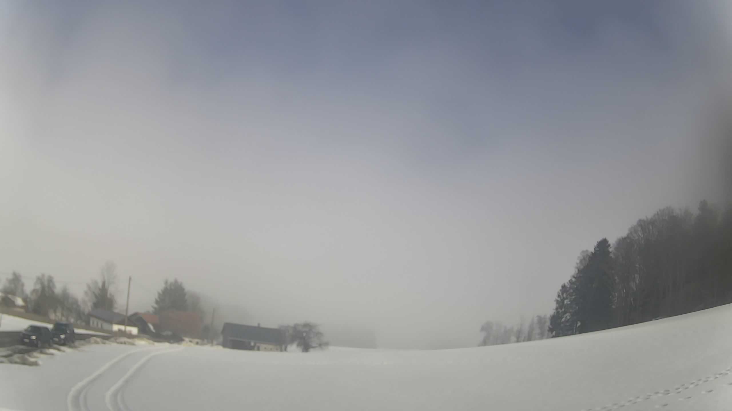 Archiv Foto Webcam Neureichenau