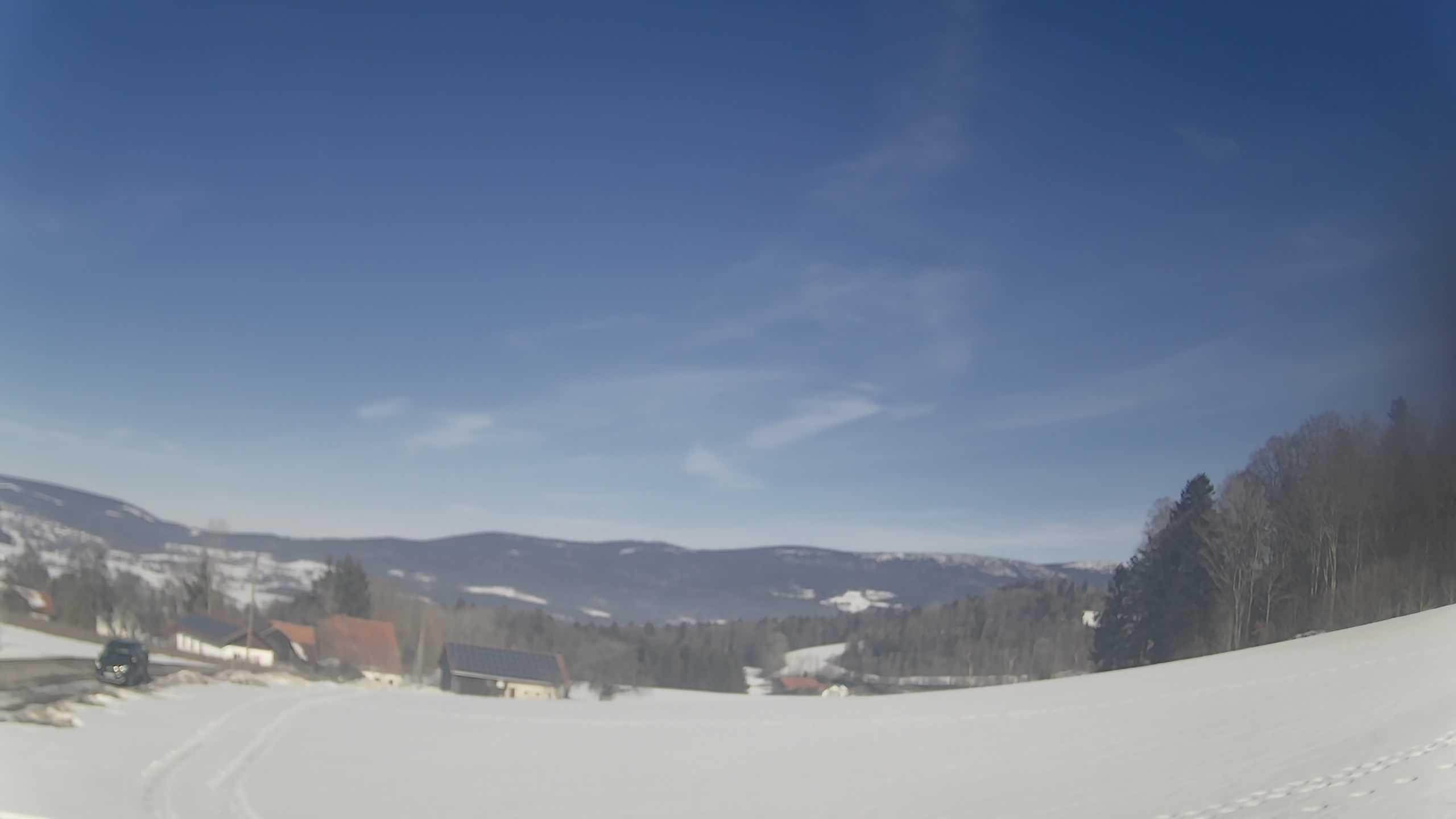 Archiv Foto Webcam Neureichenau