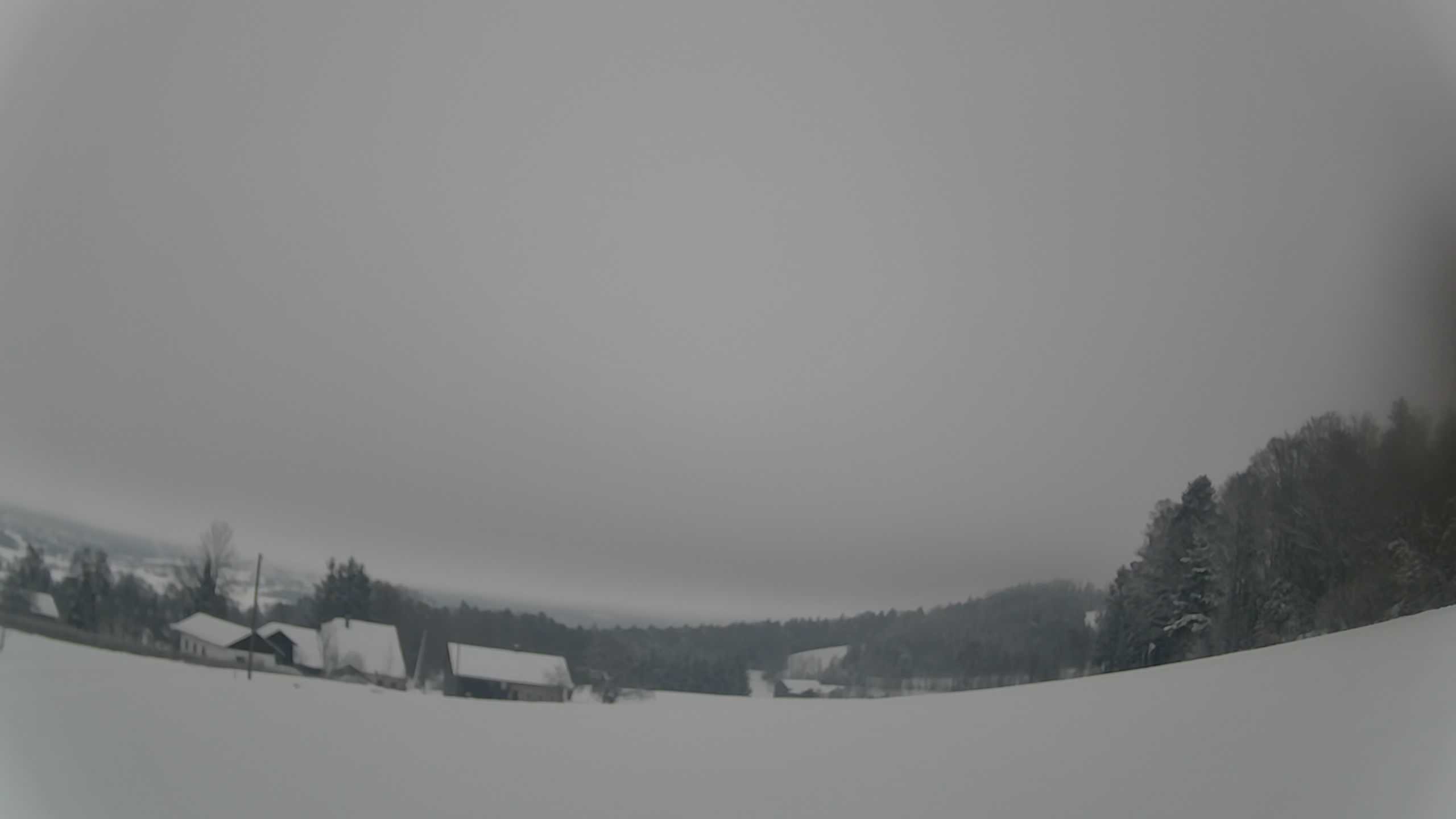 Archiv Foto Webcam Neureichenau