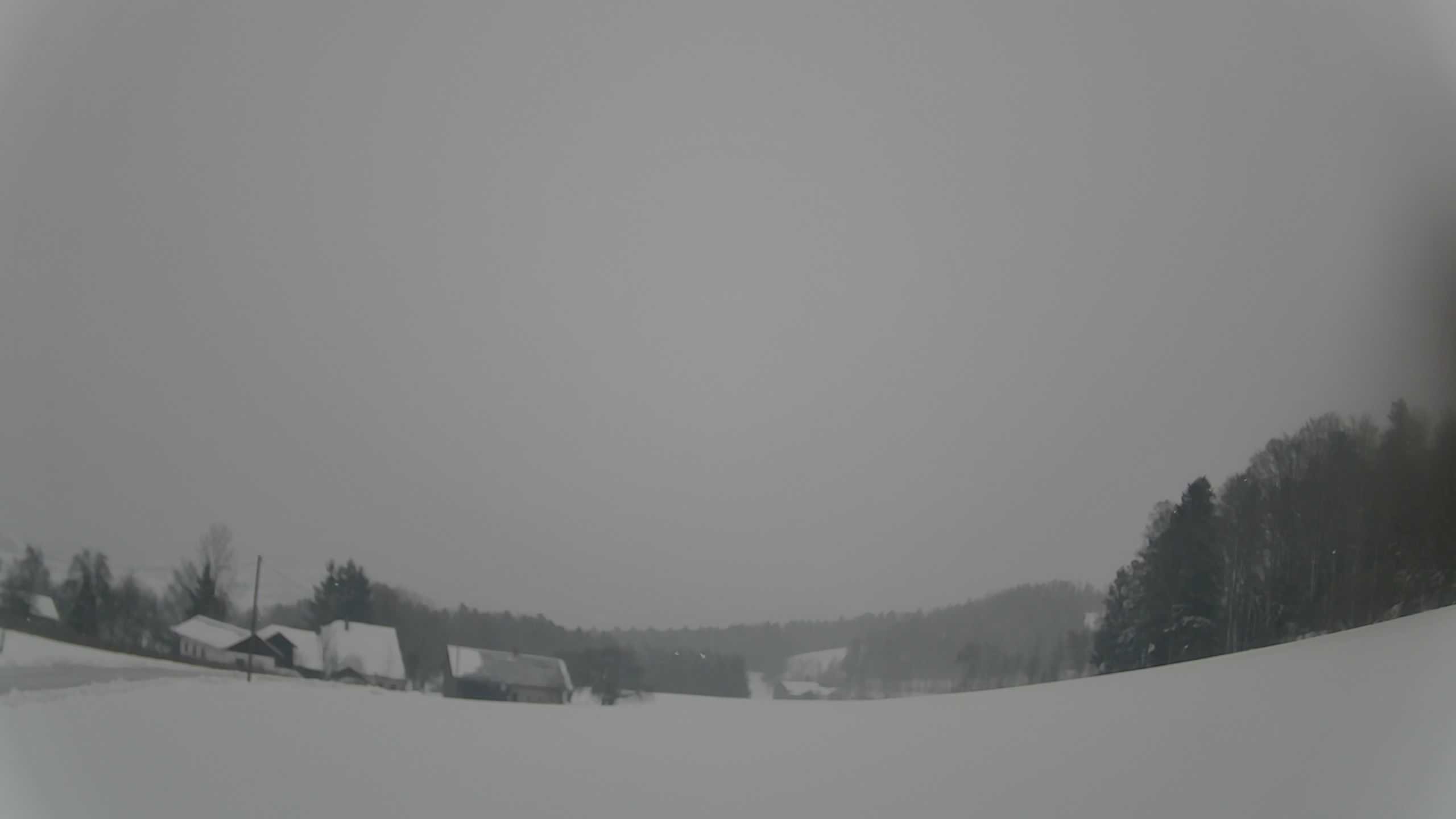 Archiv Foto Webcam Neureichenau