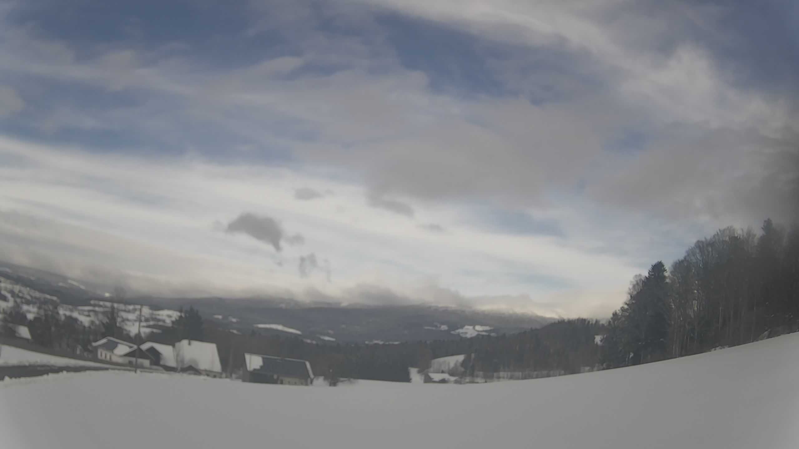 Archiv Foto Webcam Neureichenau