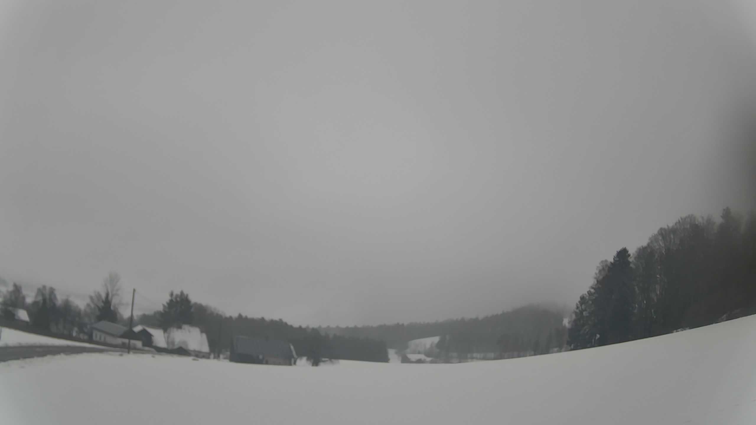 Archiv Foto Webcam Neureichenau