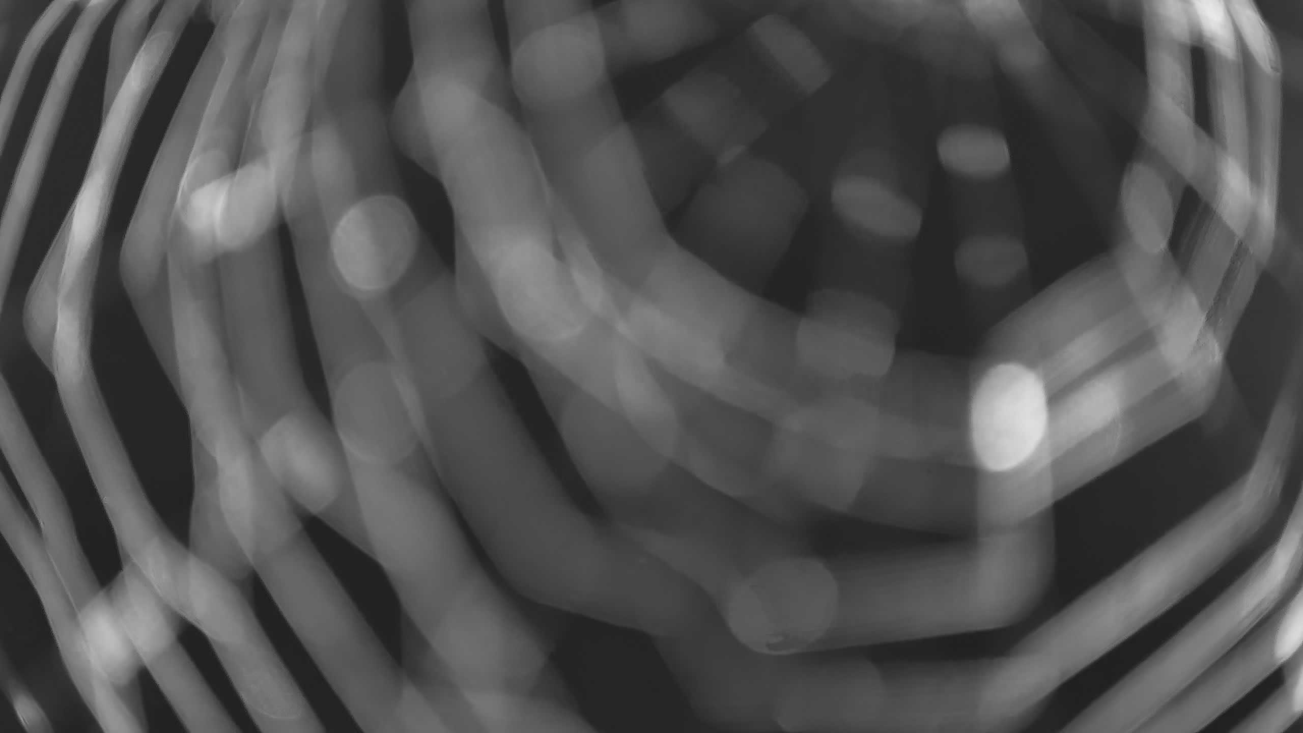 Archiv Foto Webcam Neureichenau