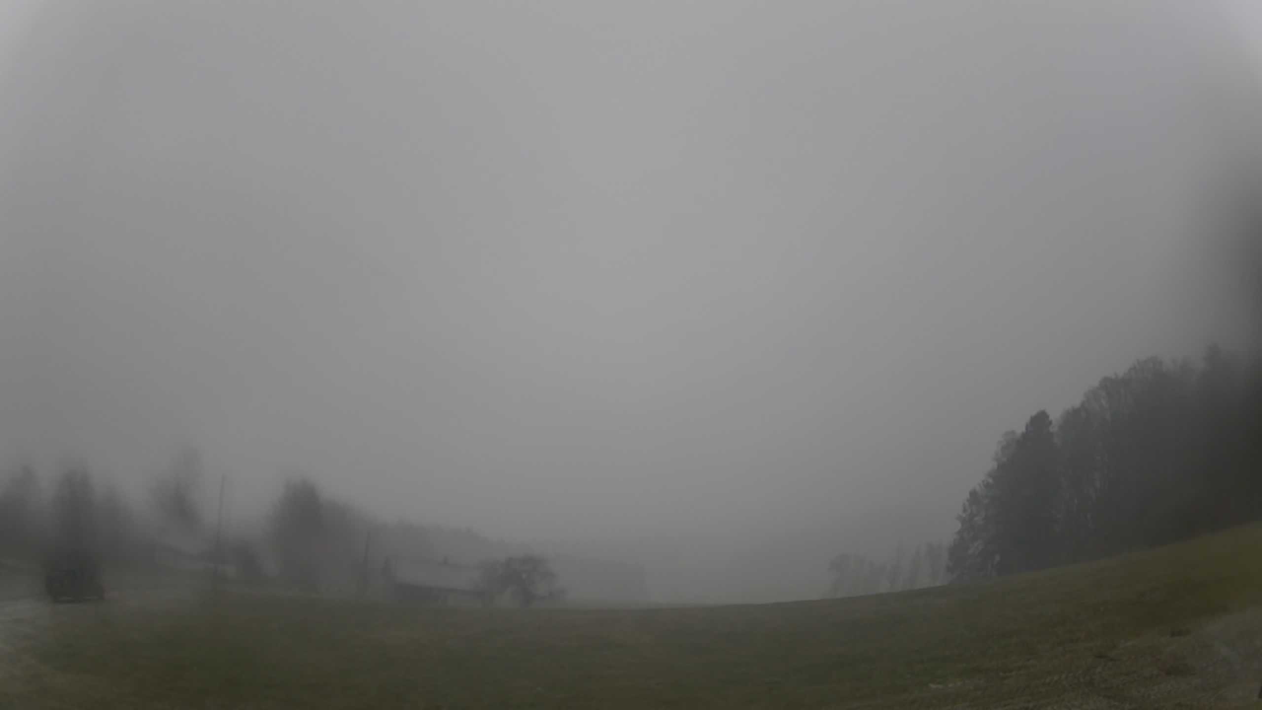 Archiv Foto Webcam Neureichenau