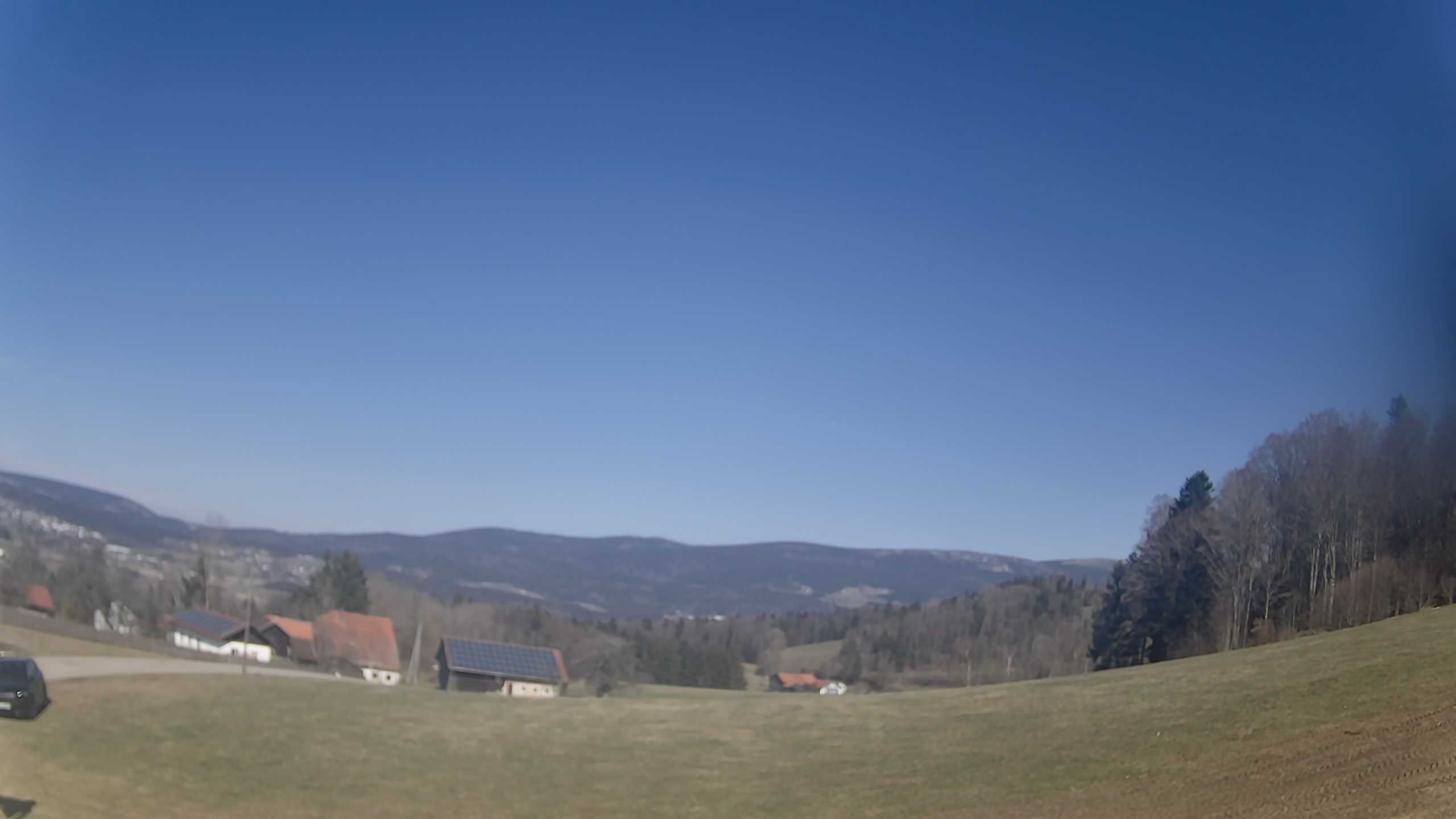 Archiv Foto Webcam Neureichenau