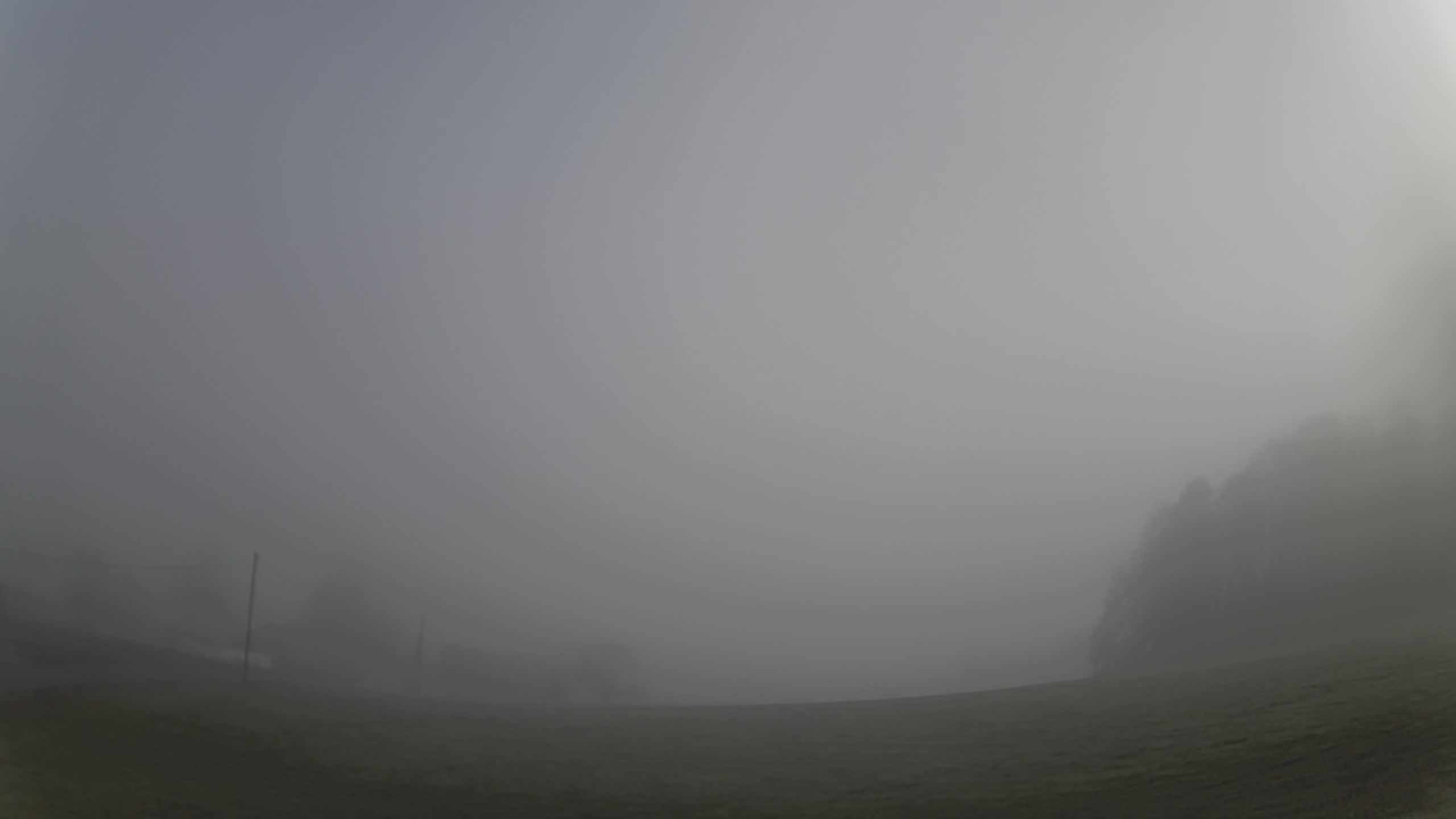 Archiv Foto Webcam Neureichenau