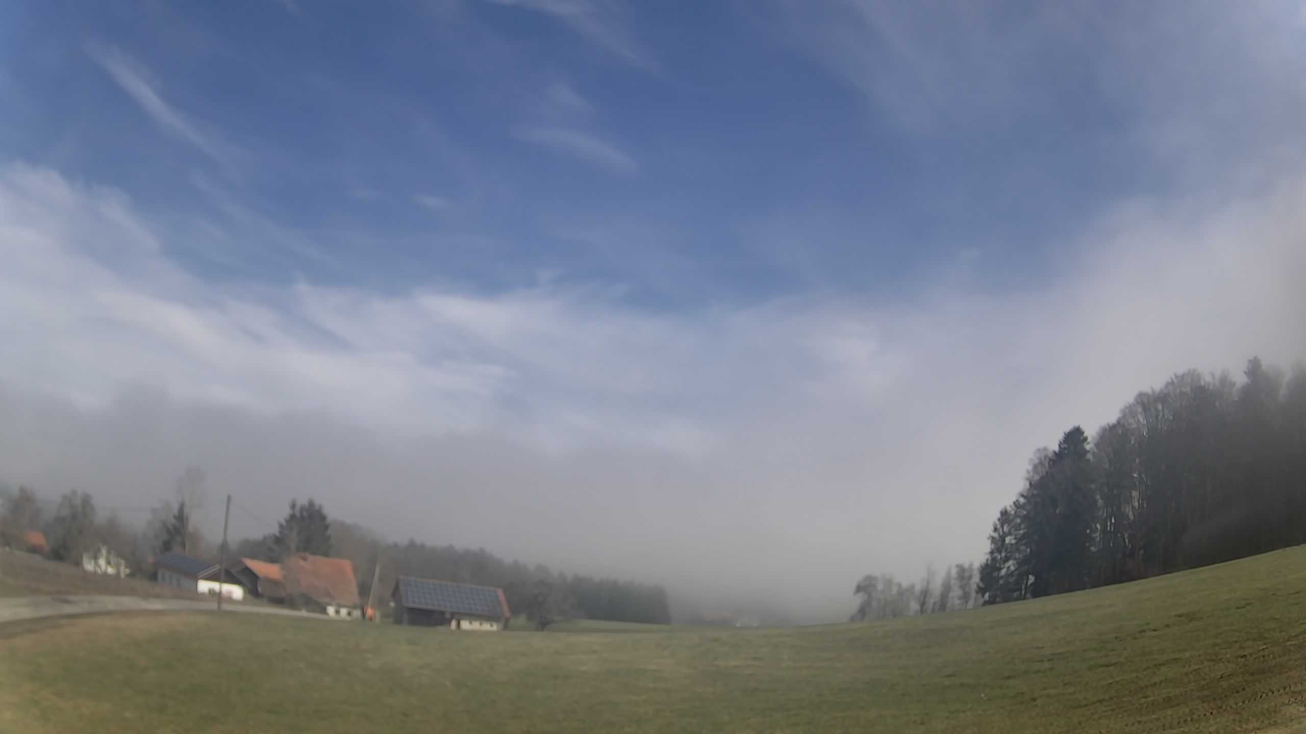 Archiv Foto Webcam Neureichenau