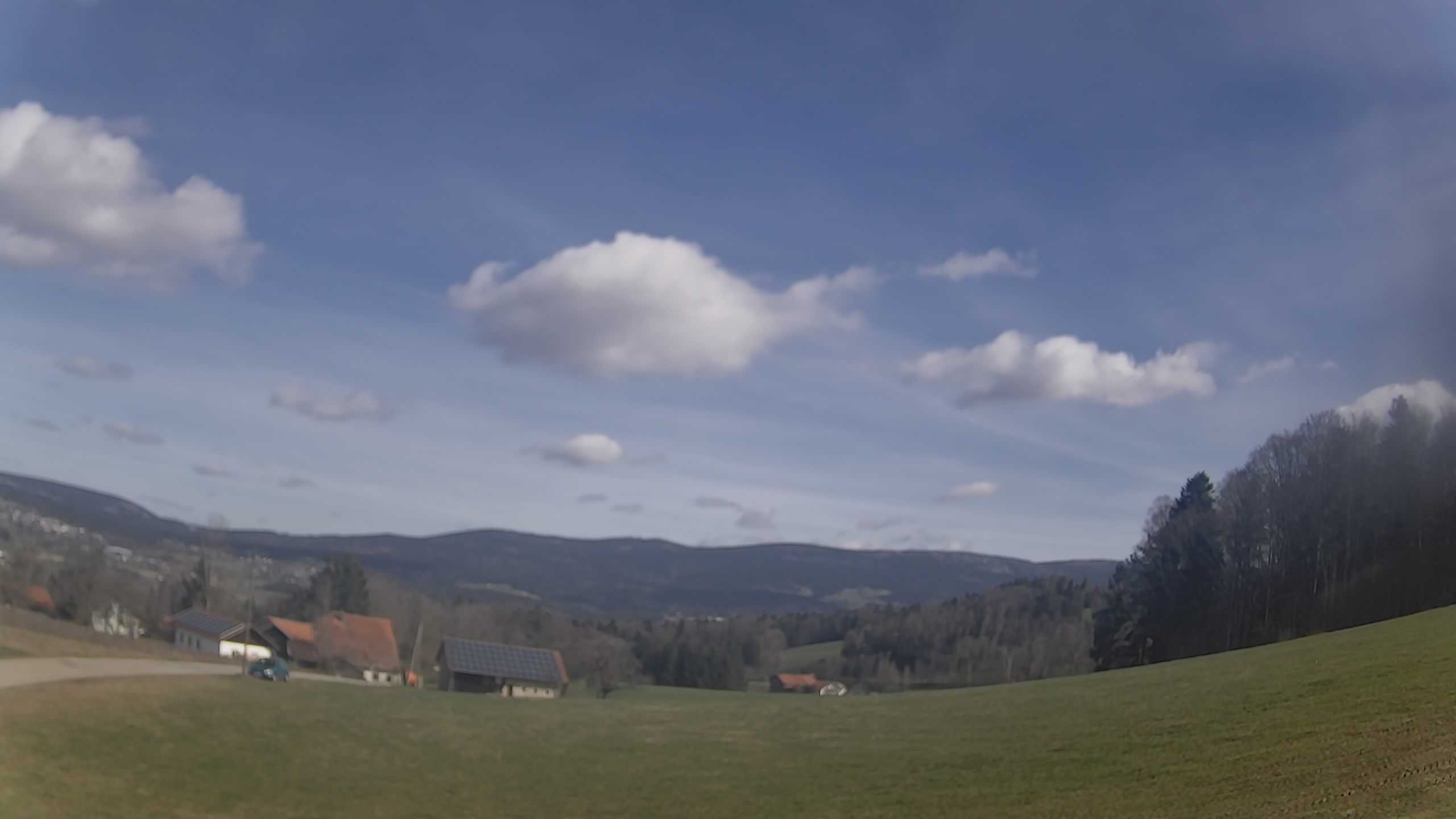 Archiv Foto Webcam Neureichenau