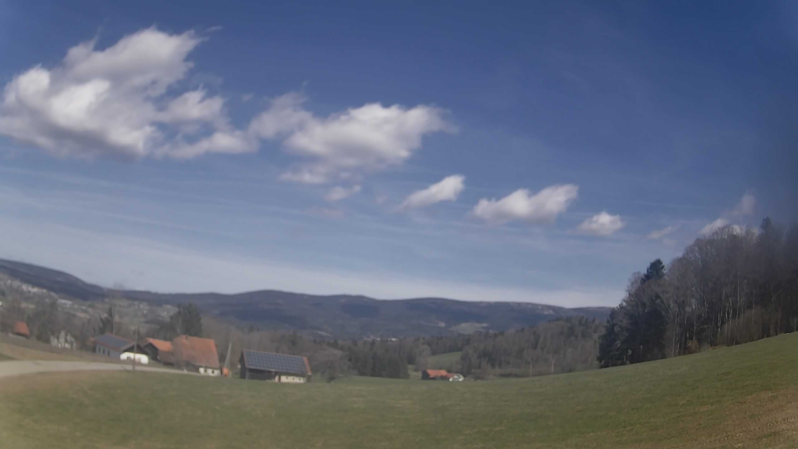 Archiv Foto Webcam Neureichenau