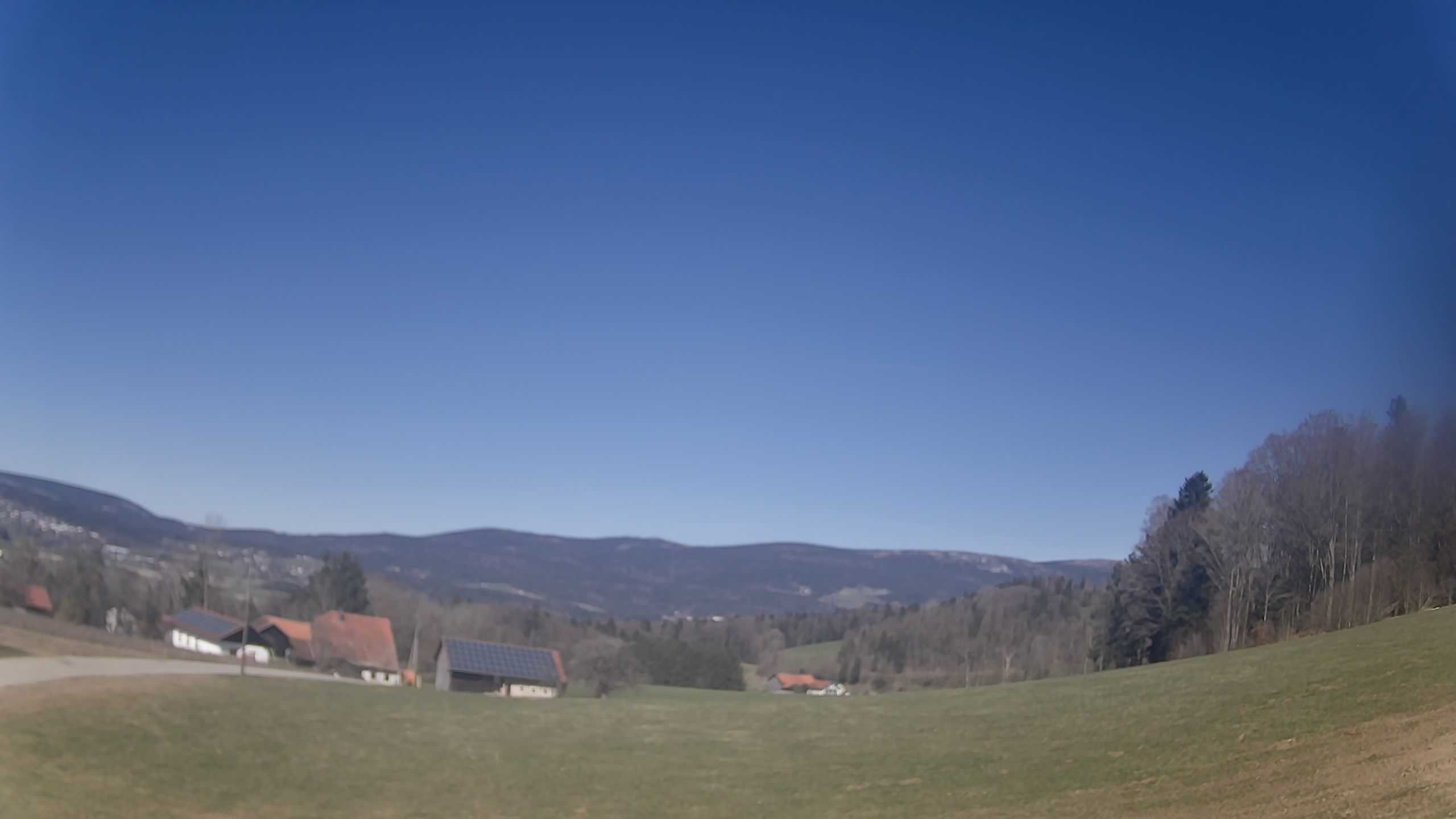 Archiv Foto Webcam Neureichenau