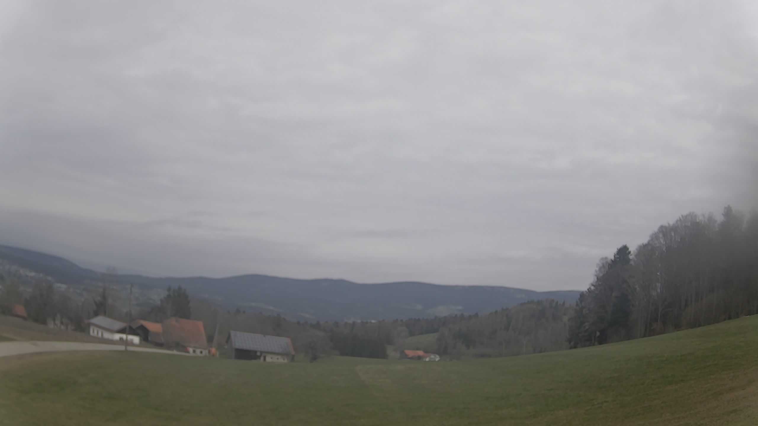 Archiv Foto Webcam Neureichenau