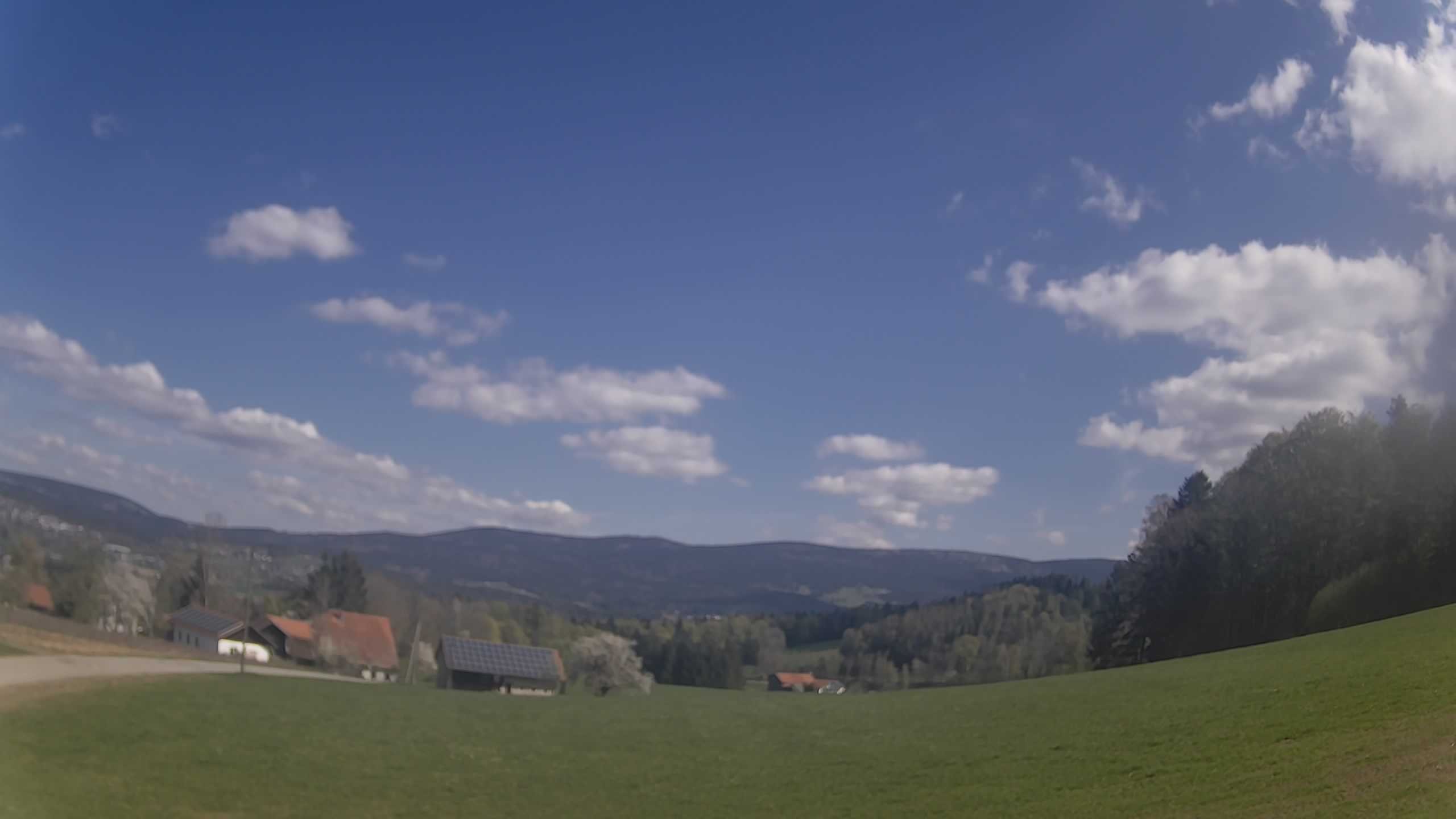 Archiv Foto Webcam Neureichenau