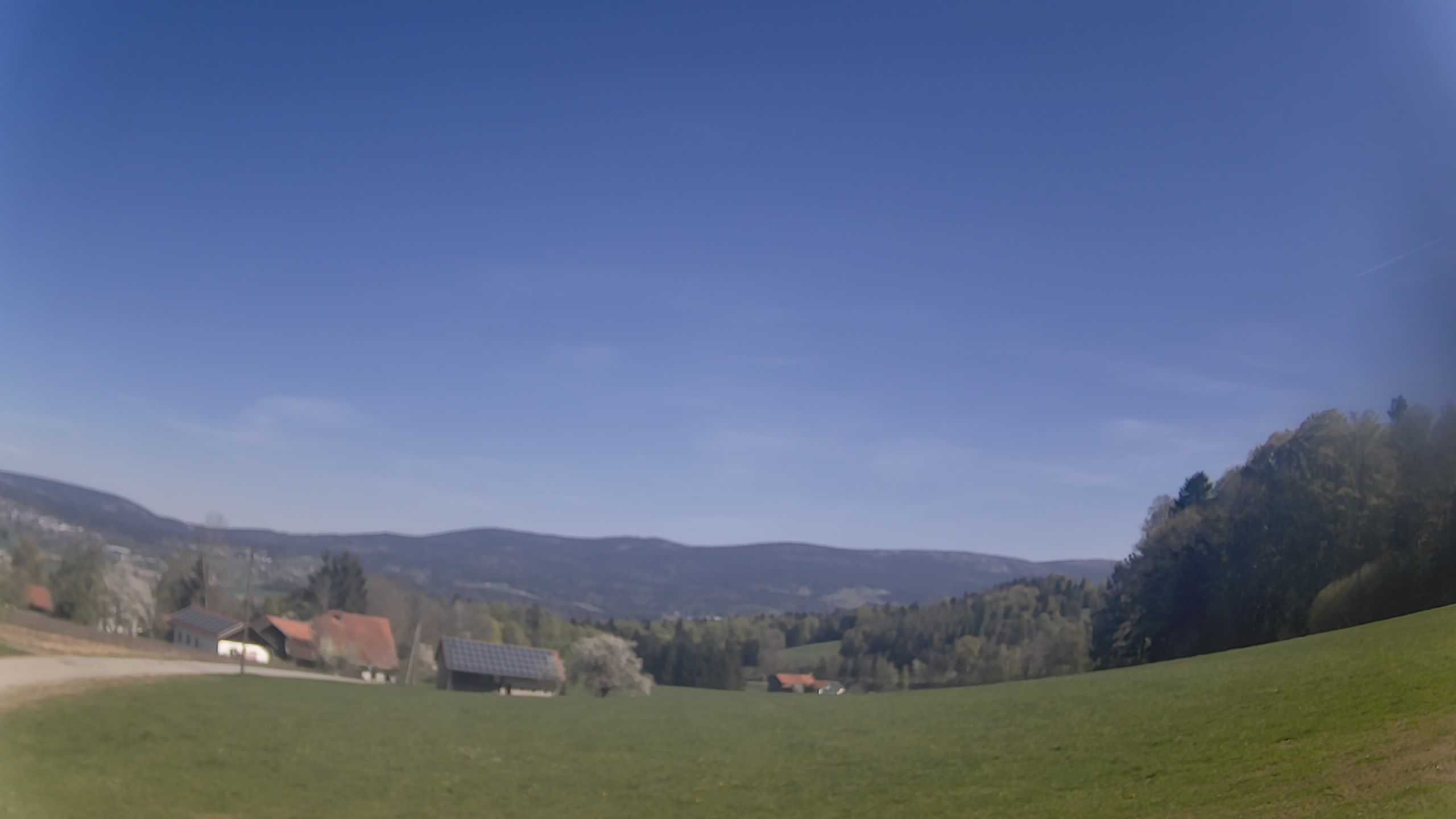 Archiv Foto Webcam Neureichenau
