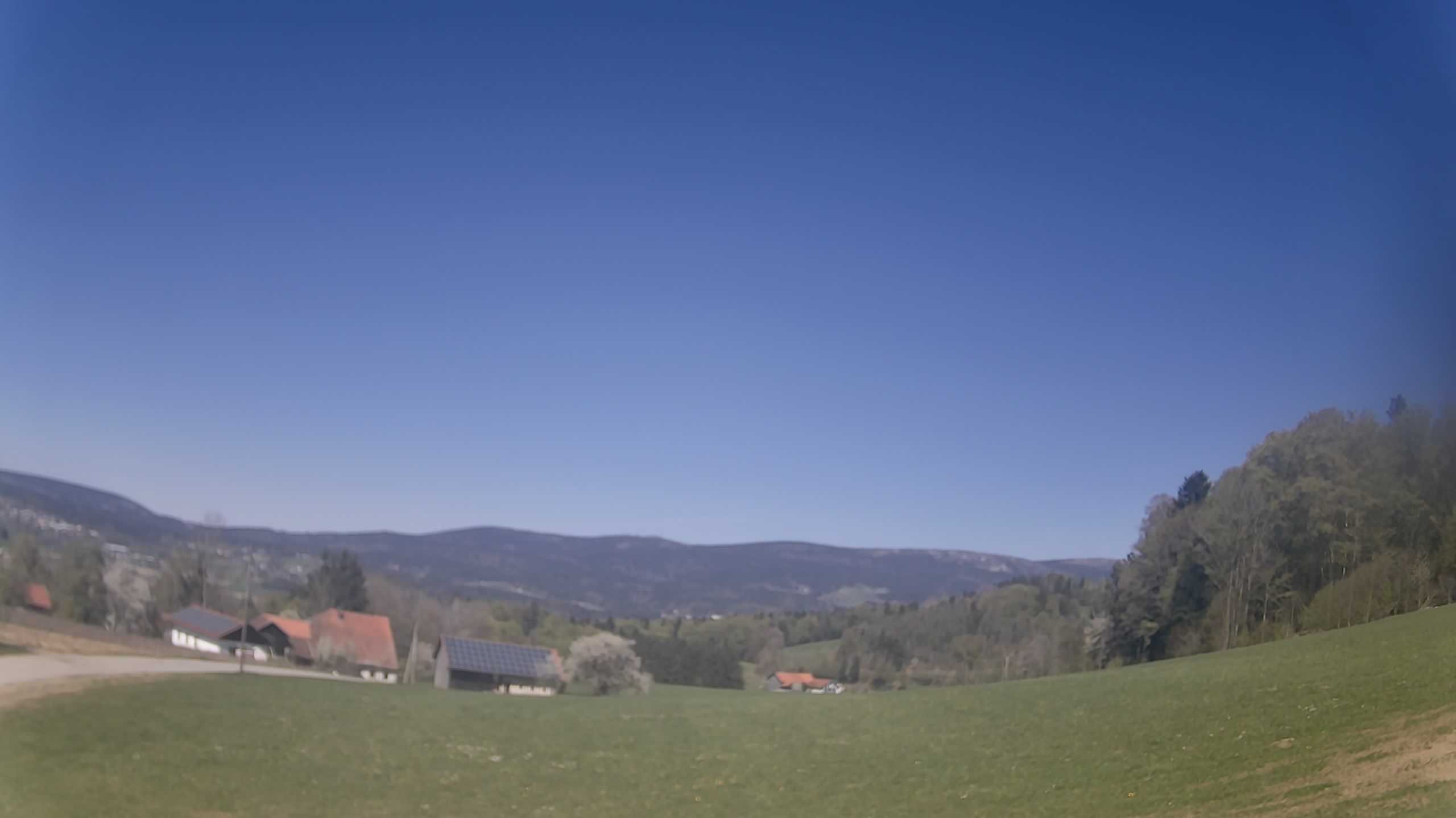 Archiv Foto Webcam Neureichenau
