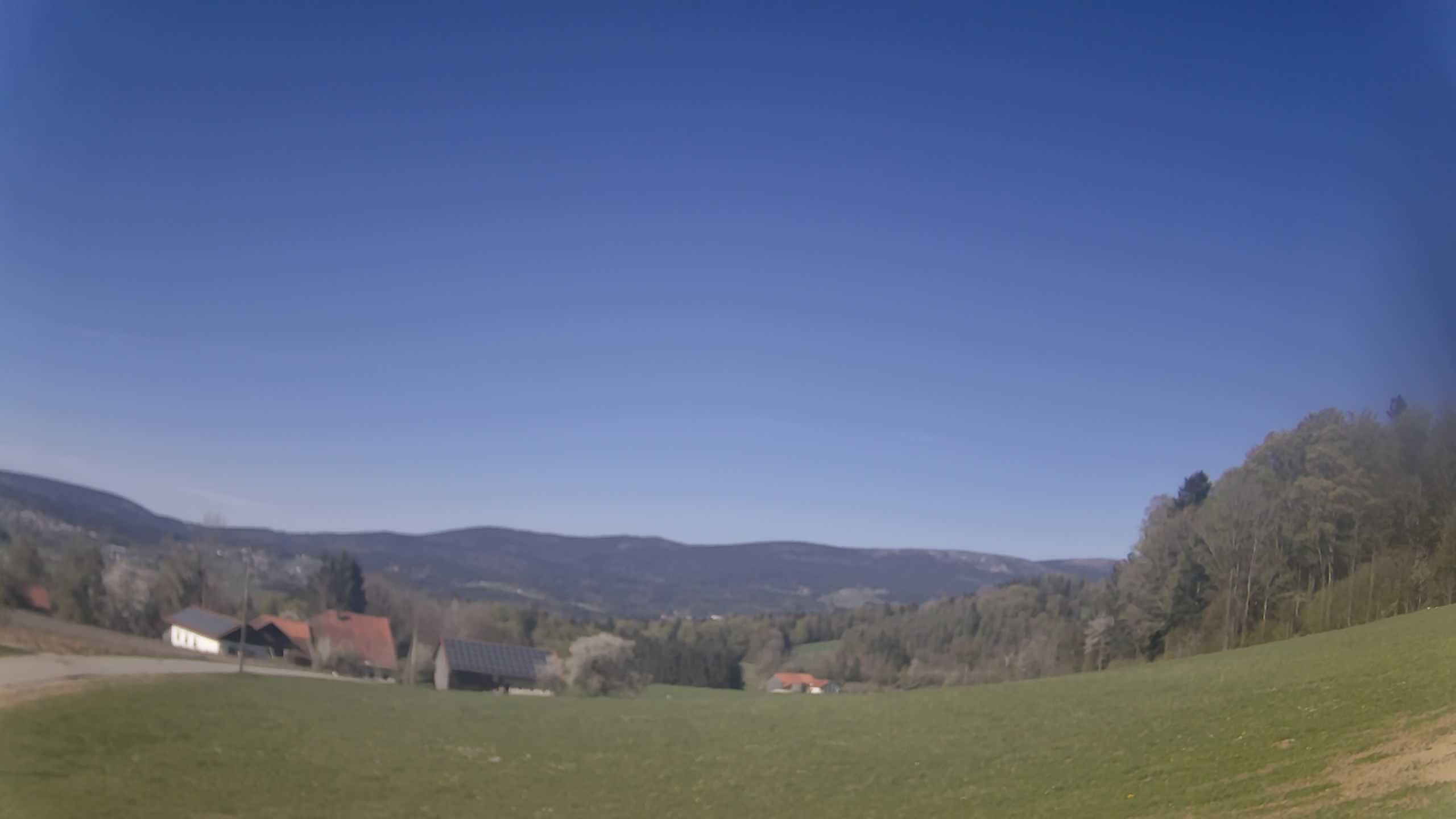 Archiv Foto Webcam Neureichenau