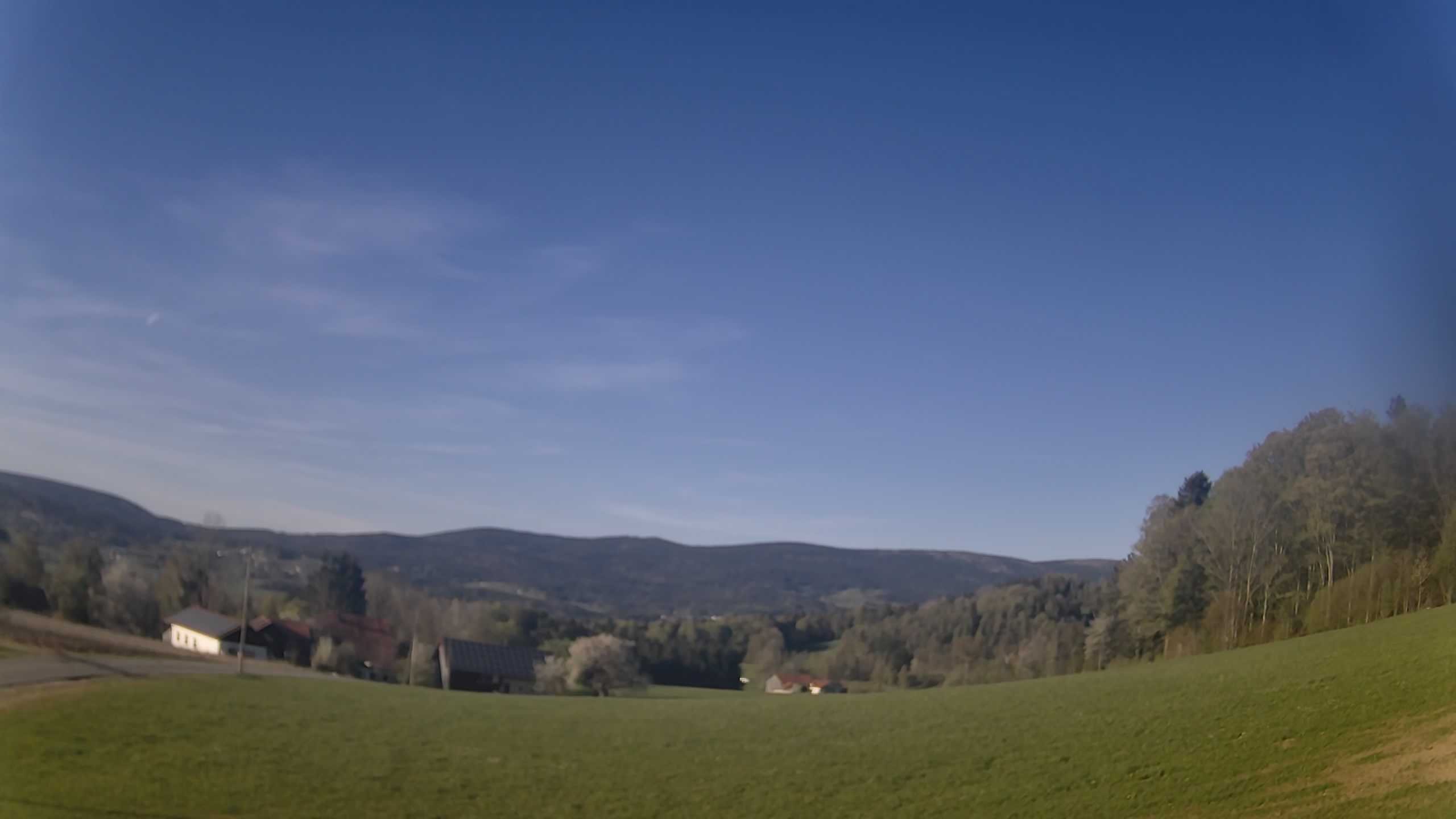 Archiv Foto Webcam Neureichenau