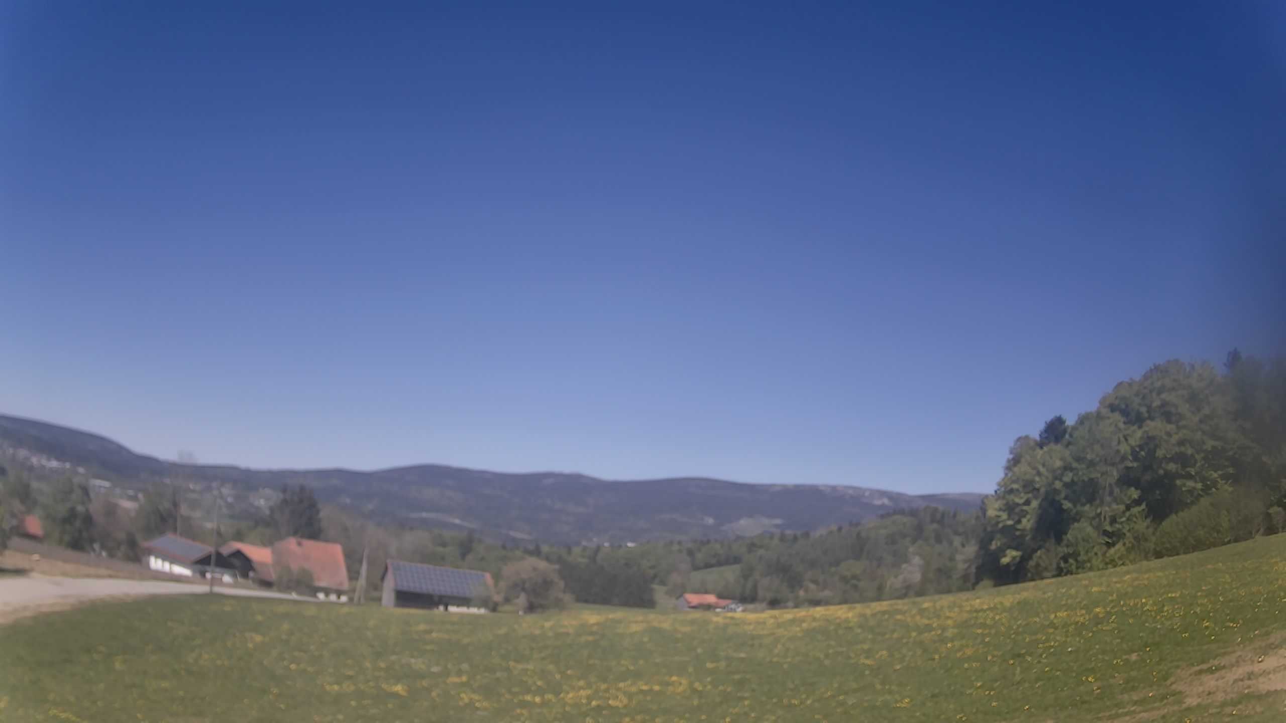 Archiv Foto Webcam Neureichenau