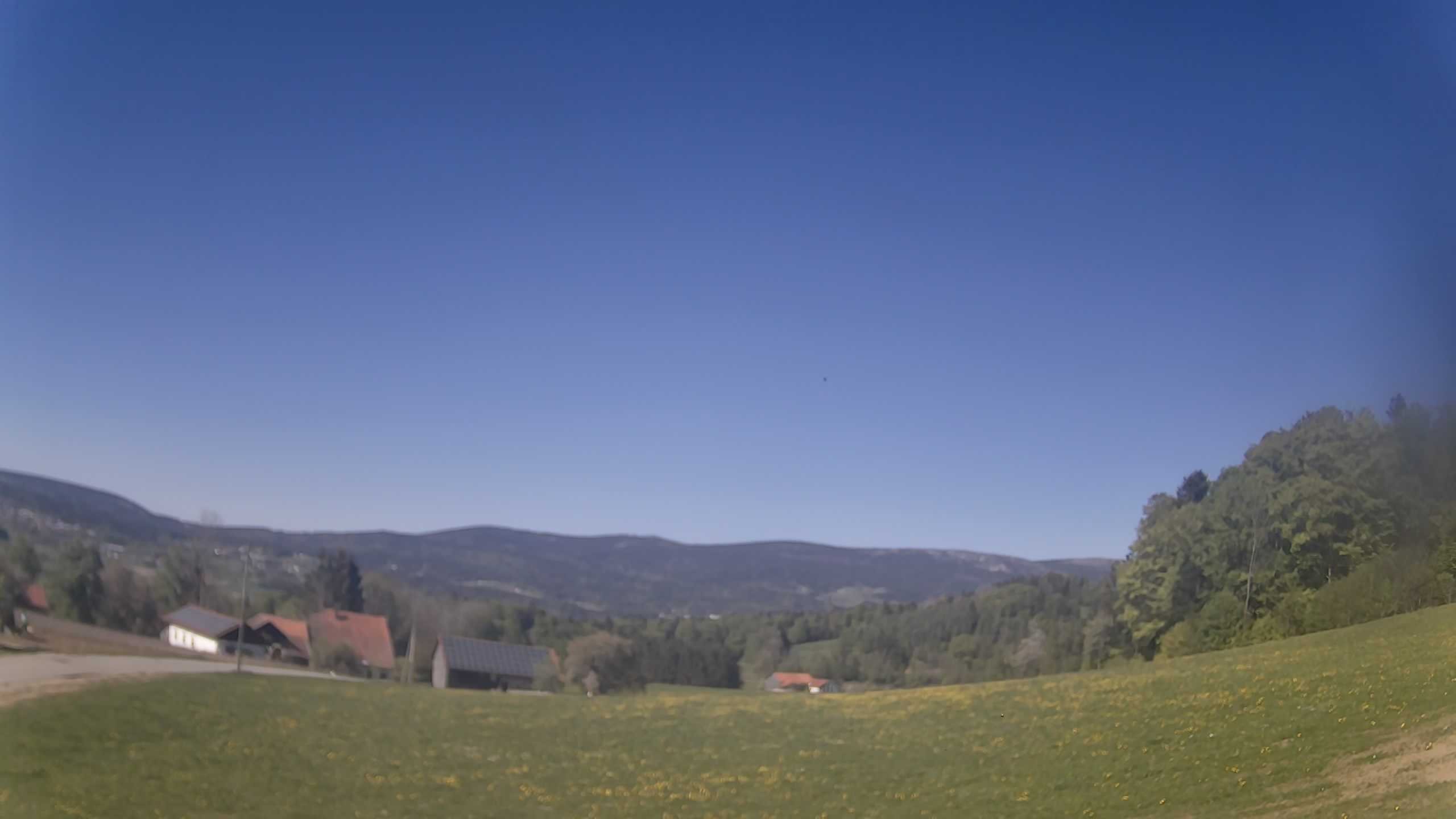 Archiv Foto Webcam Neureichenau