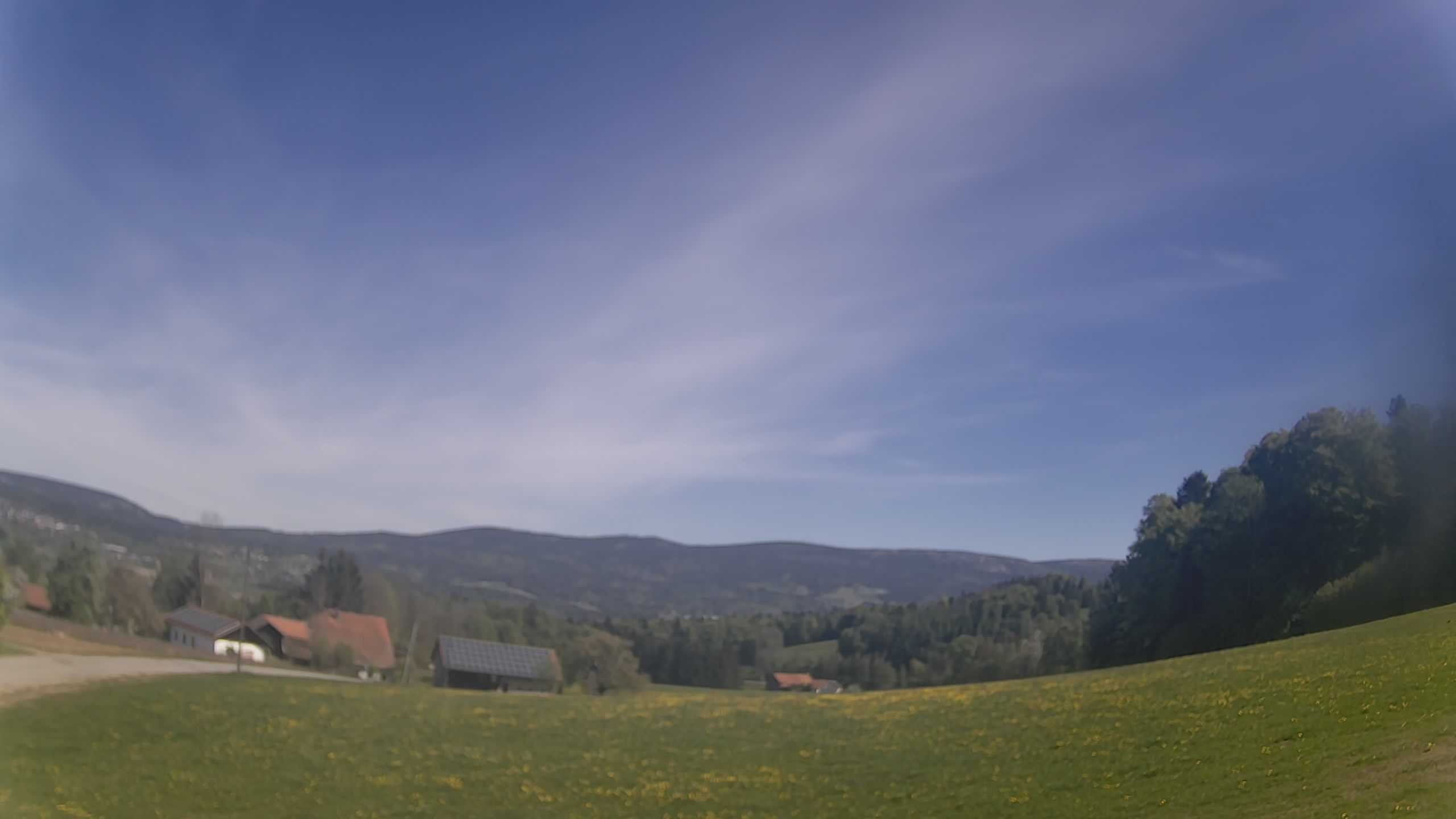 Archiv Foto Webcam Neureichenau