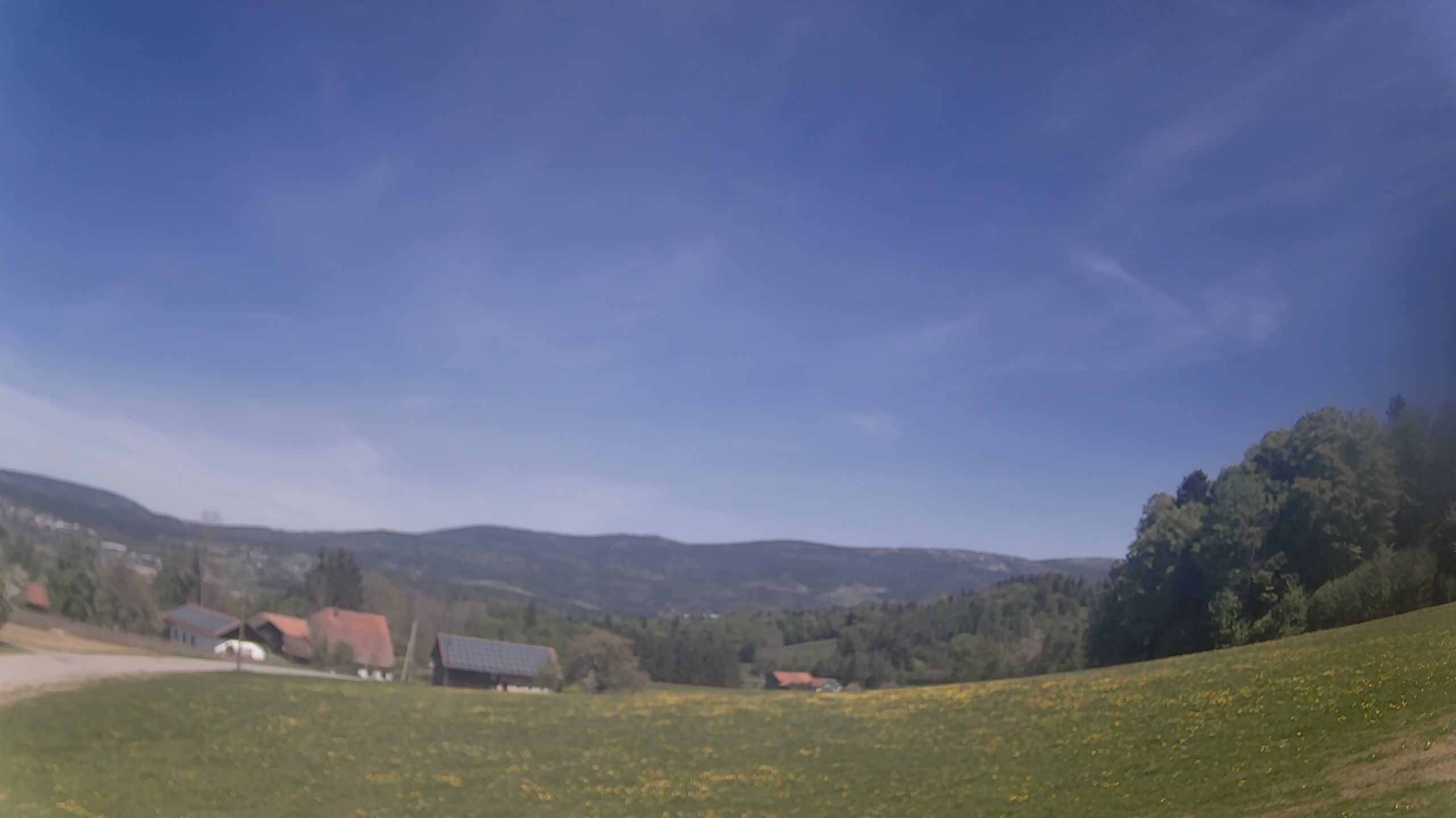 Archiv Foto Webcam Neureichenau