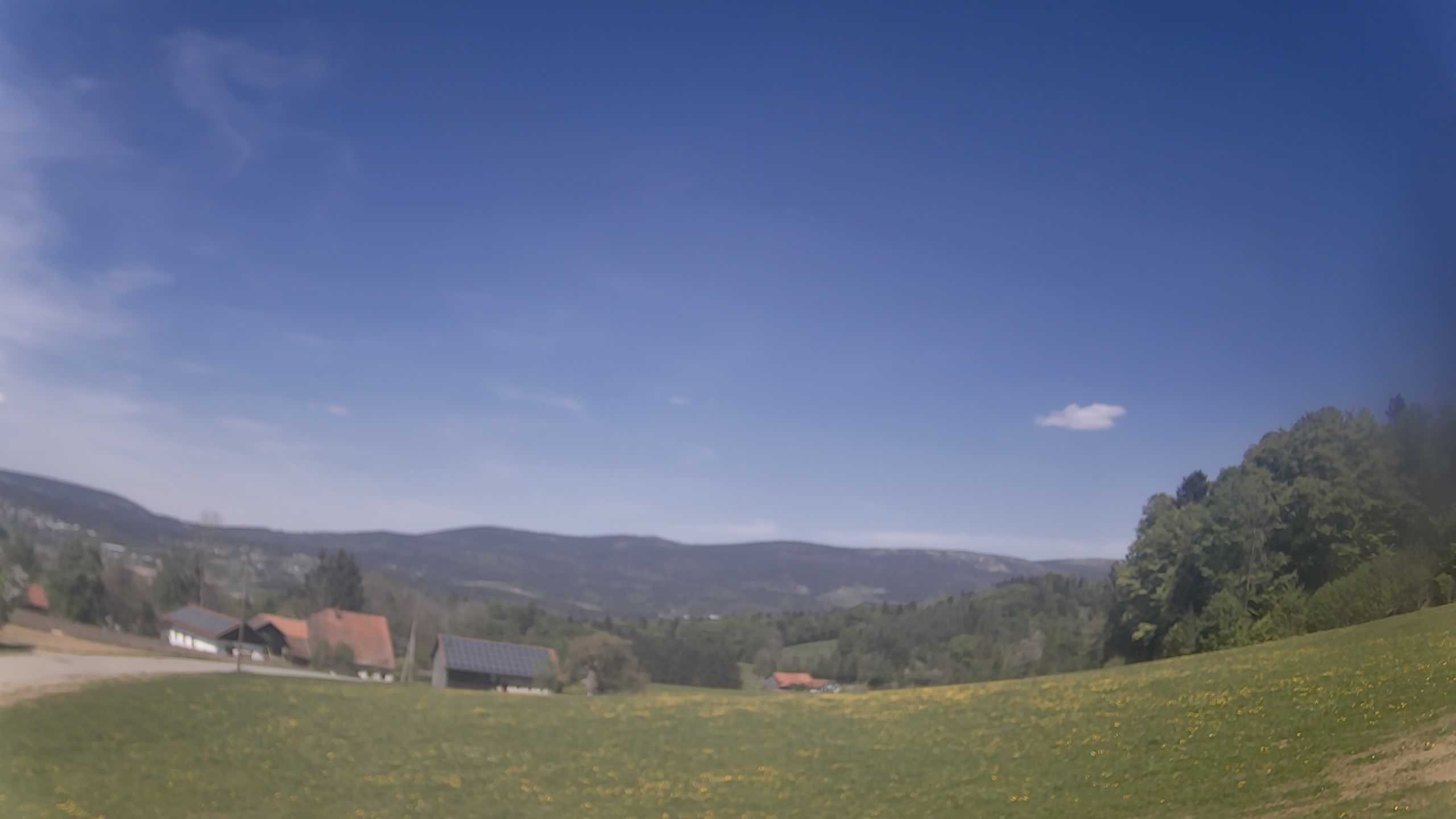 Archiv Foto Webcam Neureichenau