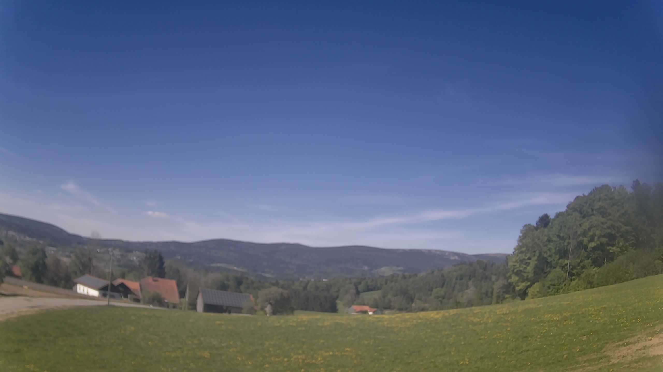 Archiv Foto Webcam Neureichenau