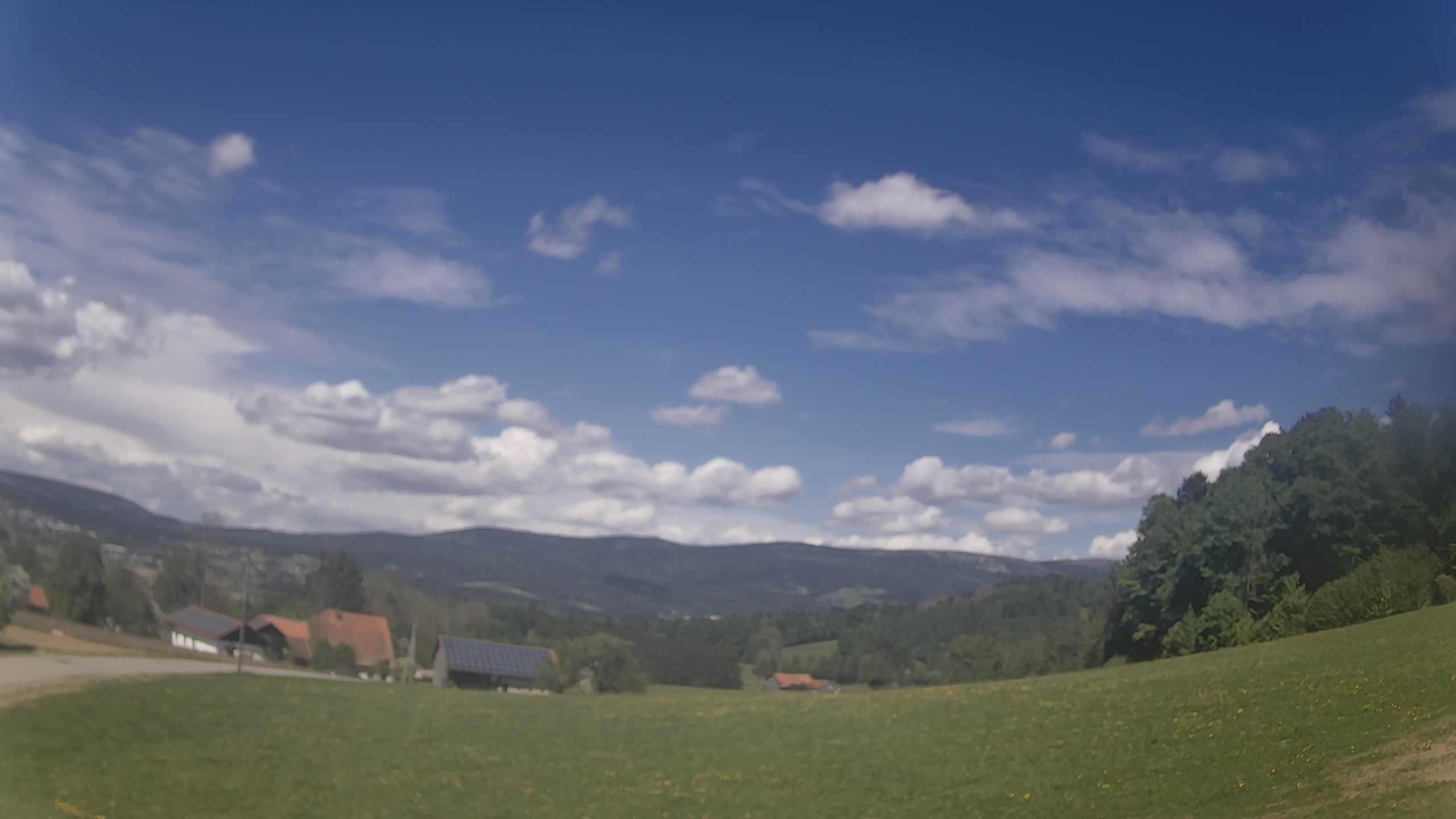 Archiv Foto Webcam Neureichenau