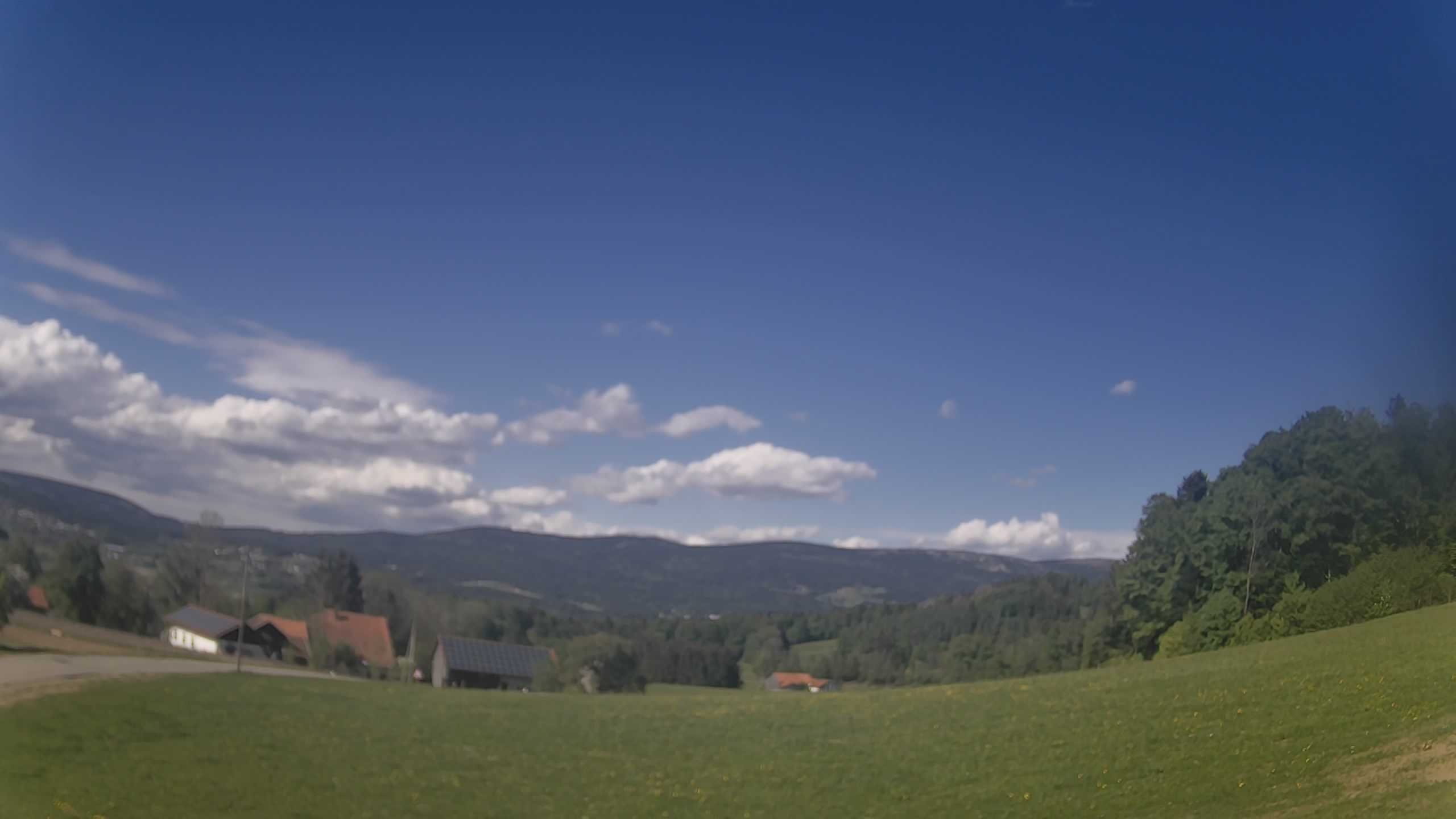 Archiv Foto Webcam Neureichenau