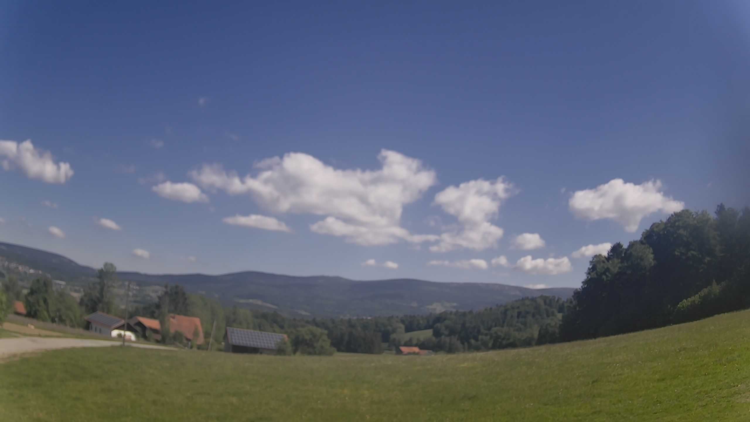 Archiv Foto Webcam Neureichenau