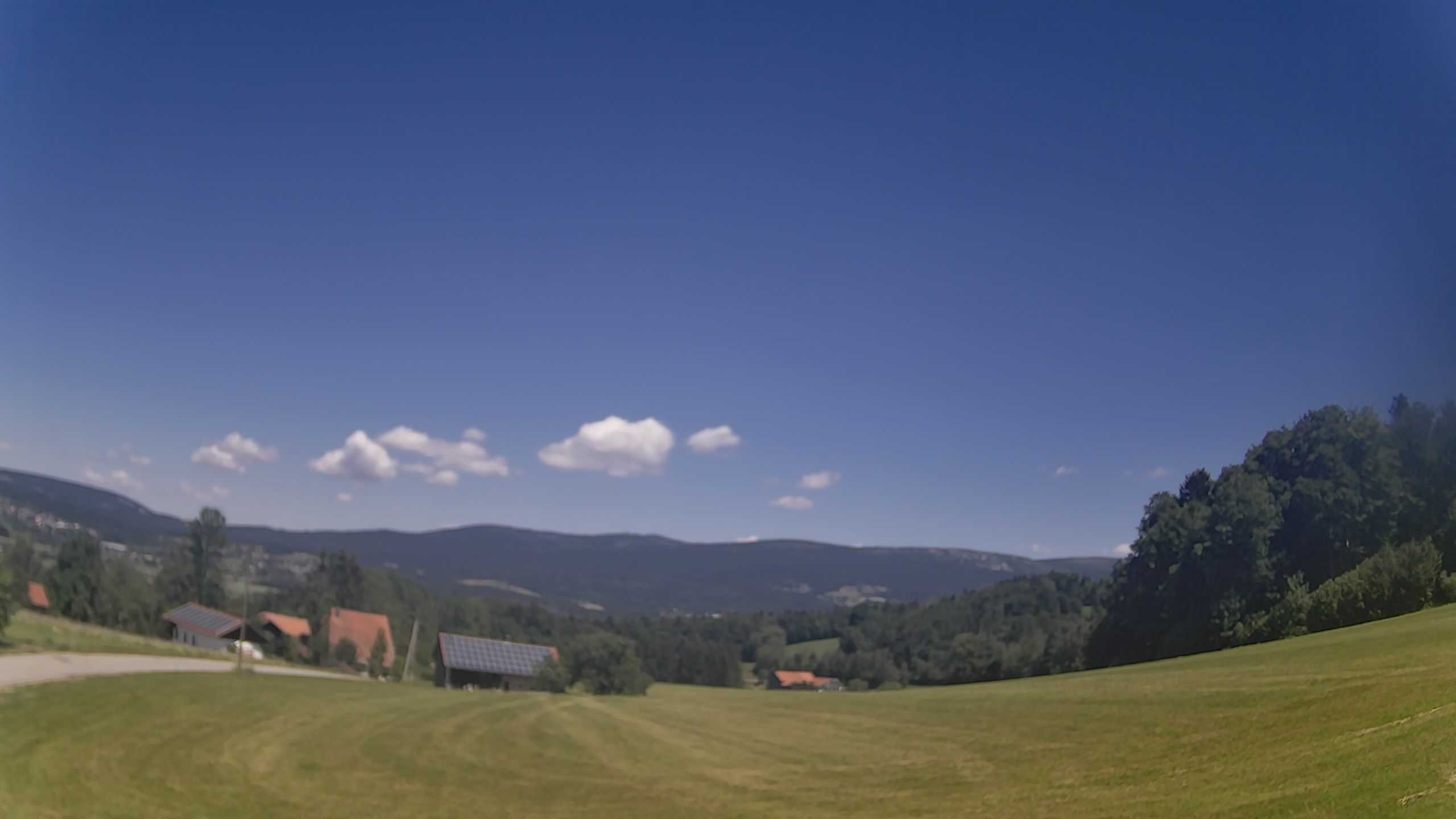 Archiv Foto Webcam Neureichenau