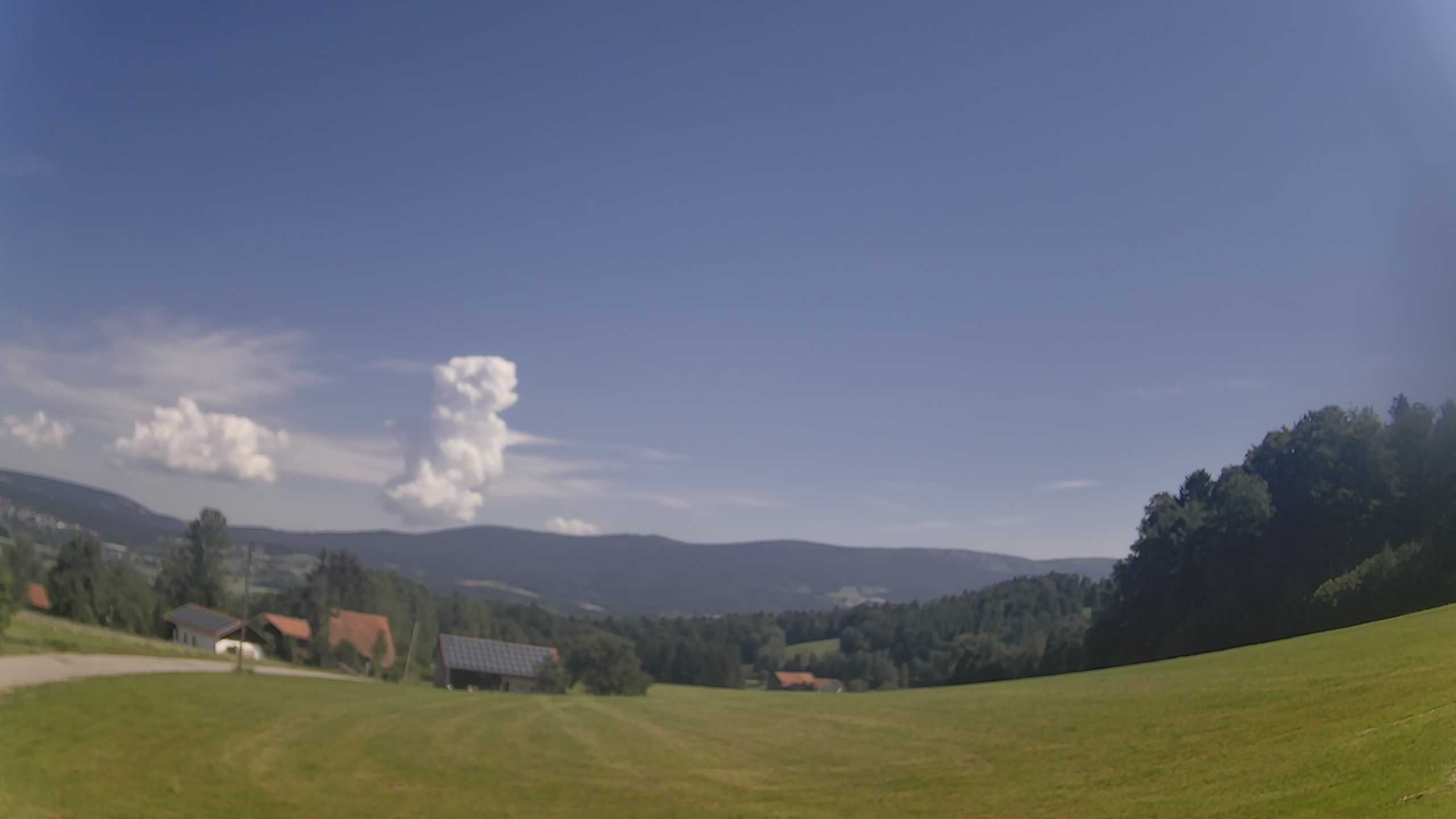 Archiv Foto Webcam Neureichenau