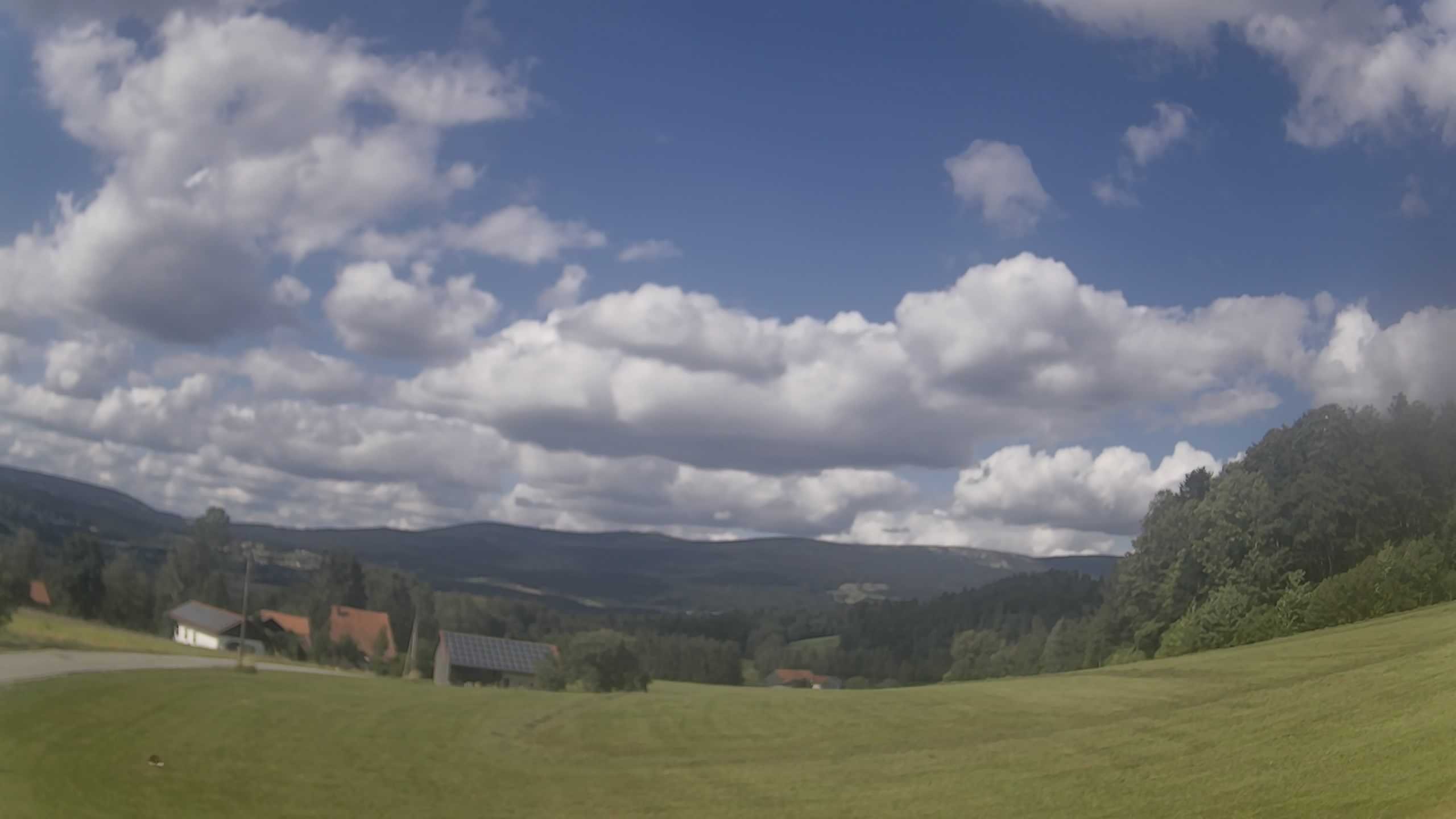 Archiv Foto Webcam Neureichenau