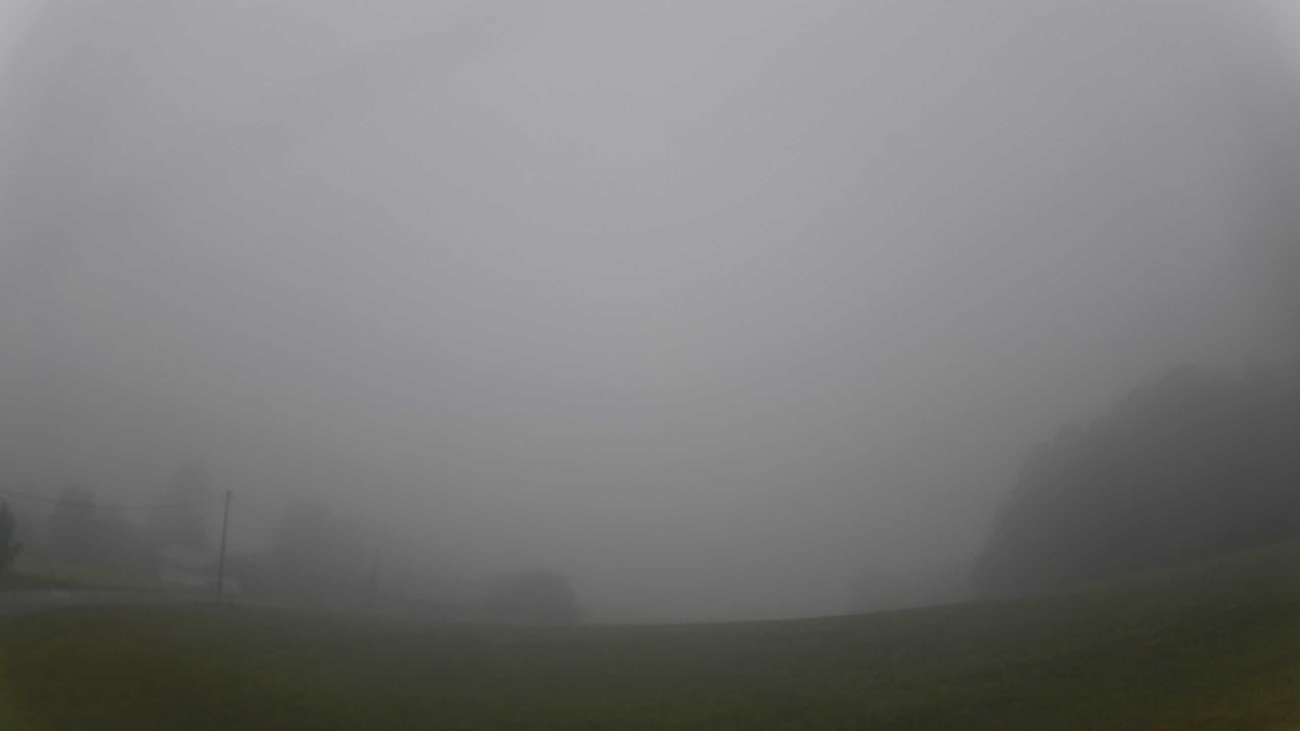 Archiv Foto Webcam Neureichenau