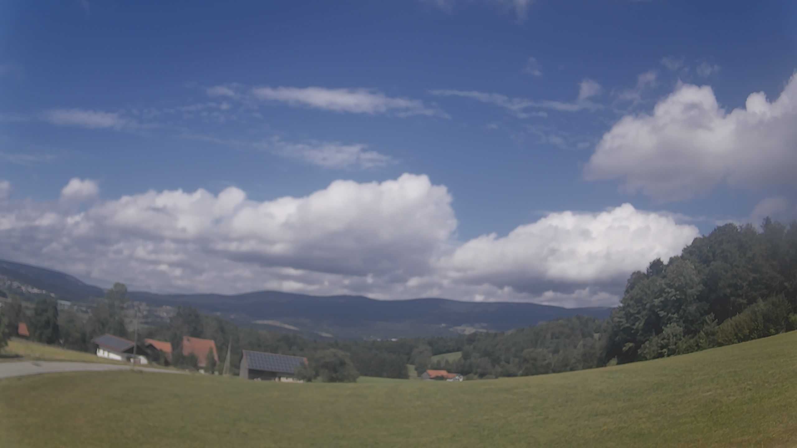 Archiv Foto Webcam Neureichenau