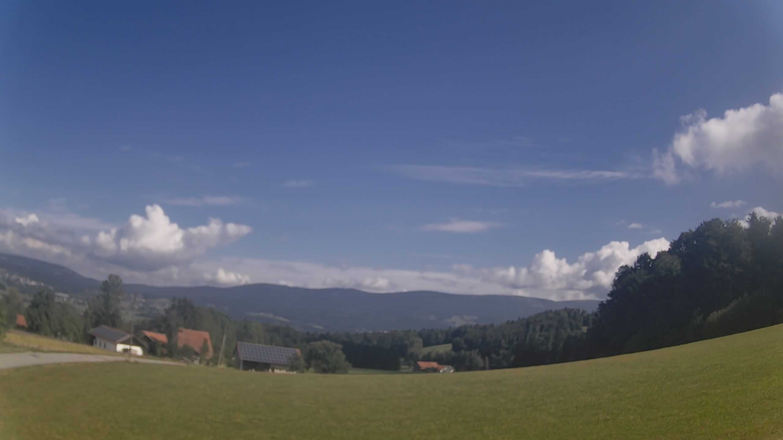Archiv Foto Webcam Neureichenau