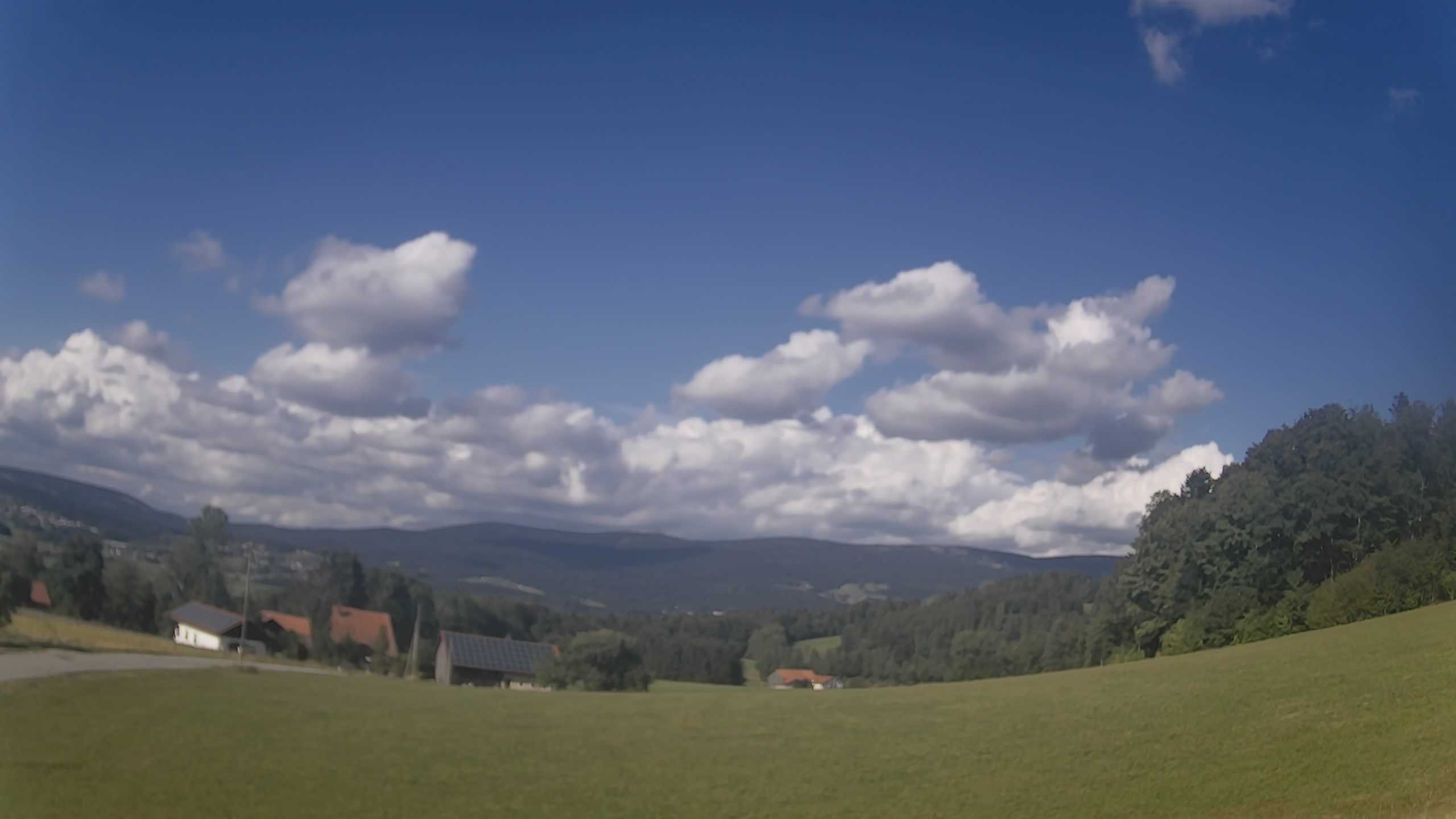 Archiv Foto Webcam Neureichenau