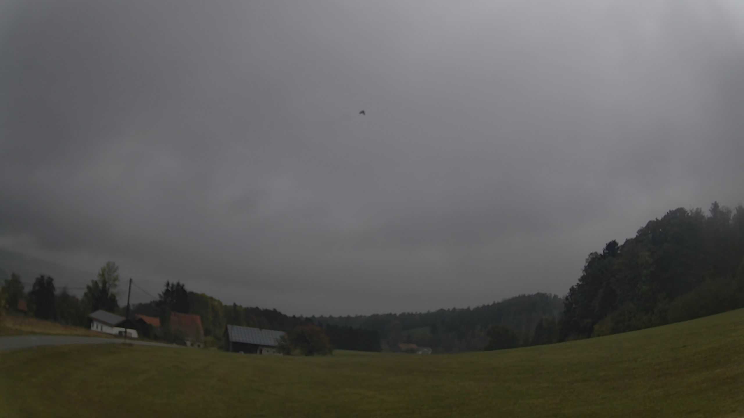 Archived image Webcam Village Neureichenau