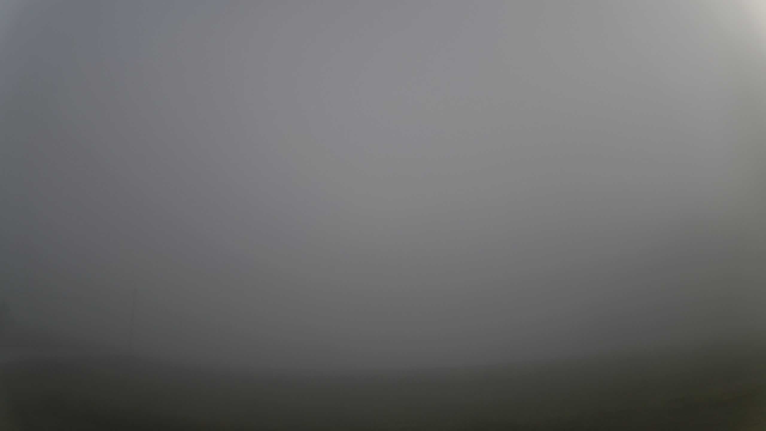 Archiv Foto Webcam Neureichenau