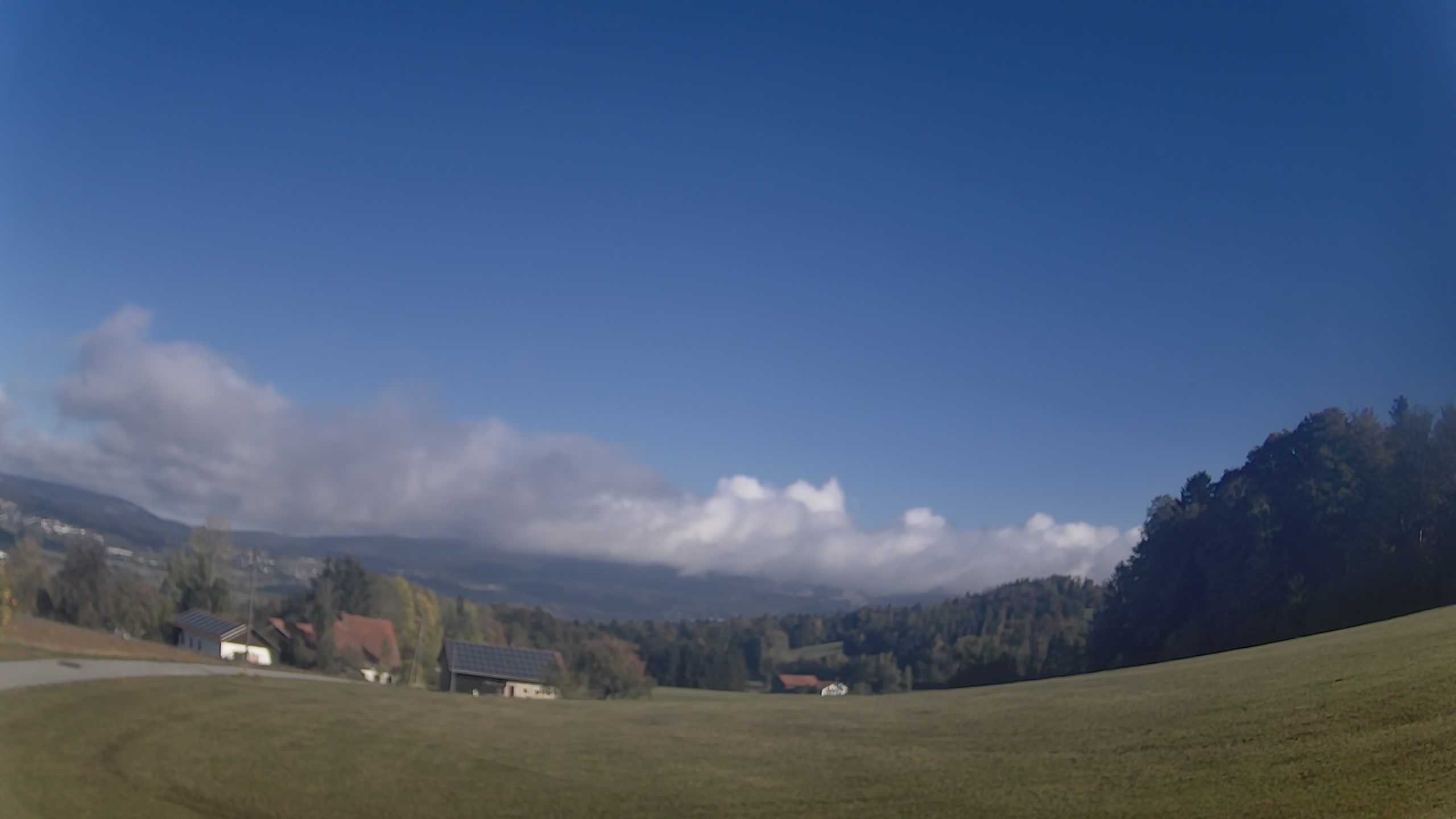 Archiv Foto Webcam Neureichenau