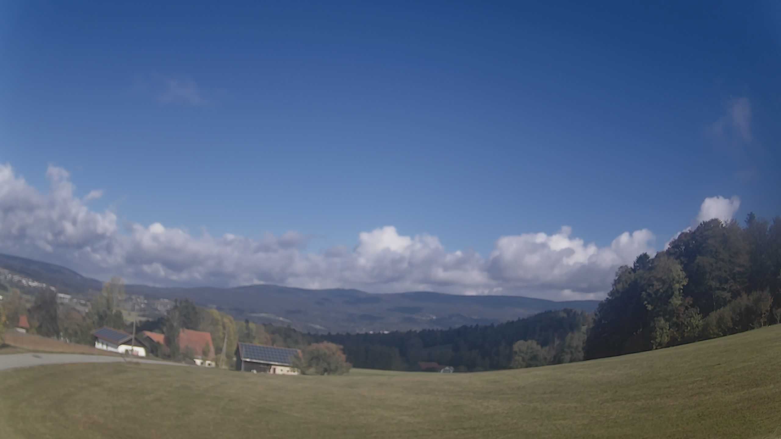 Archiv Foto Webcam Neureichenau