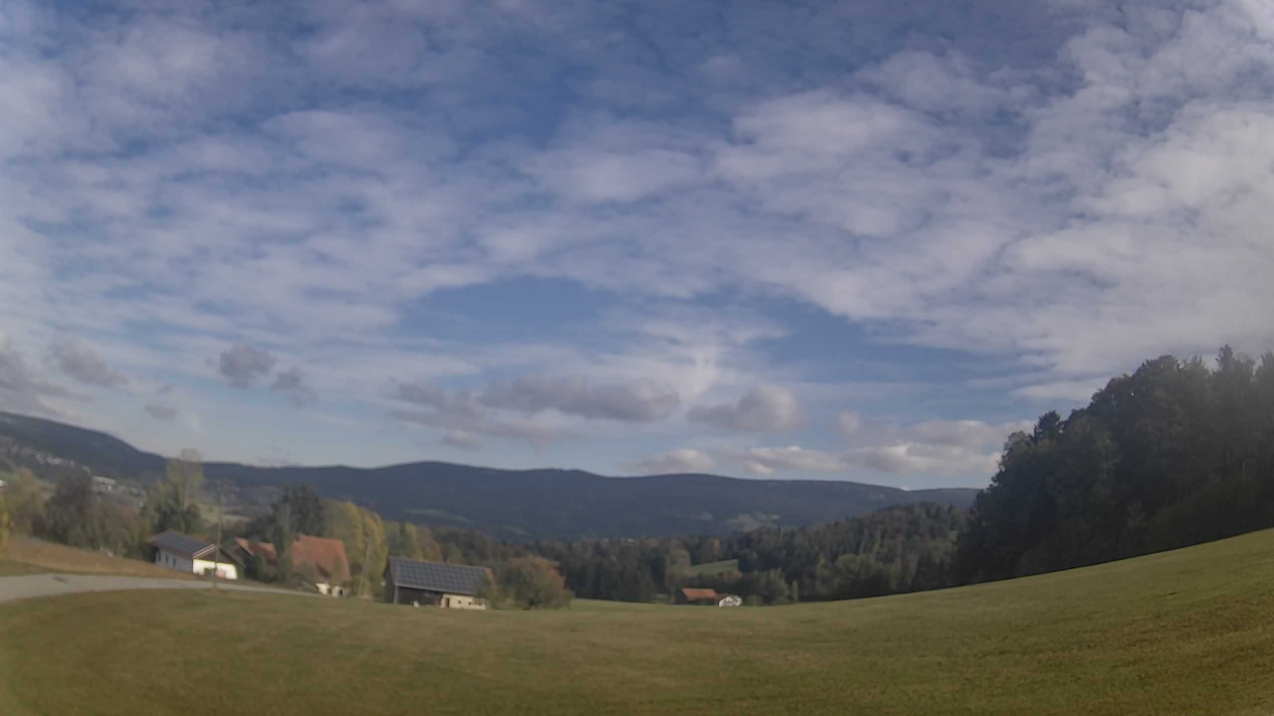 Archiv Foto Webcam Neureichenau