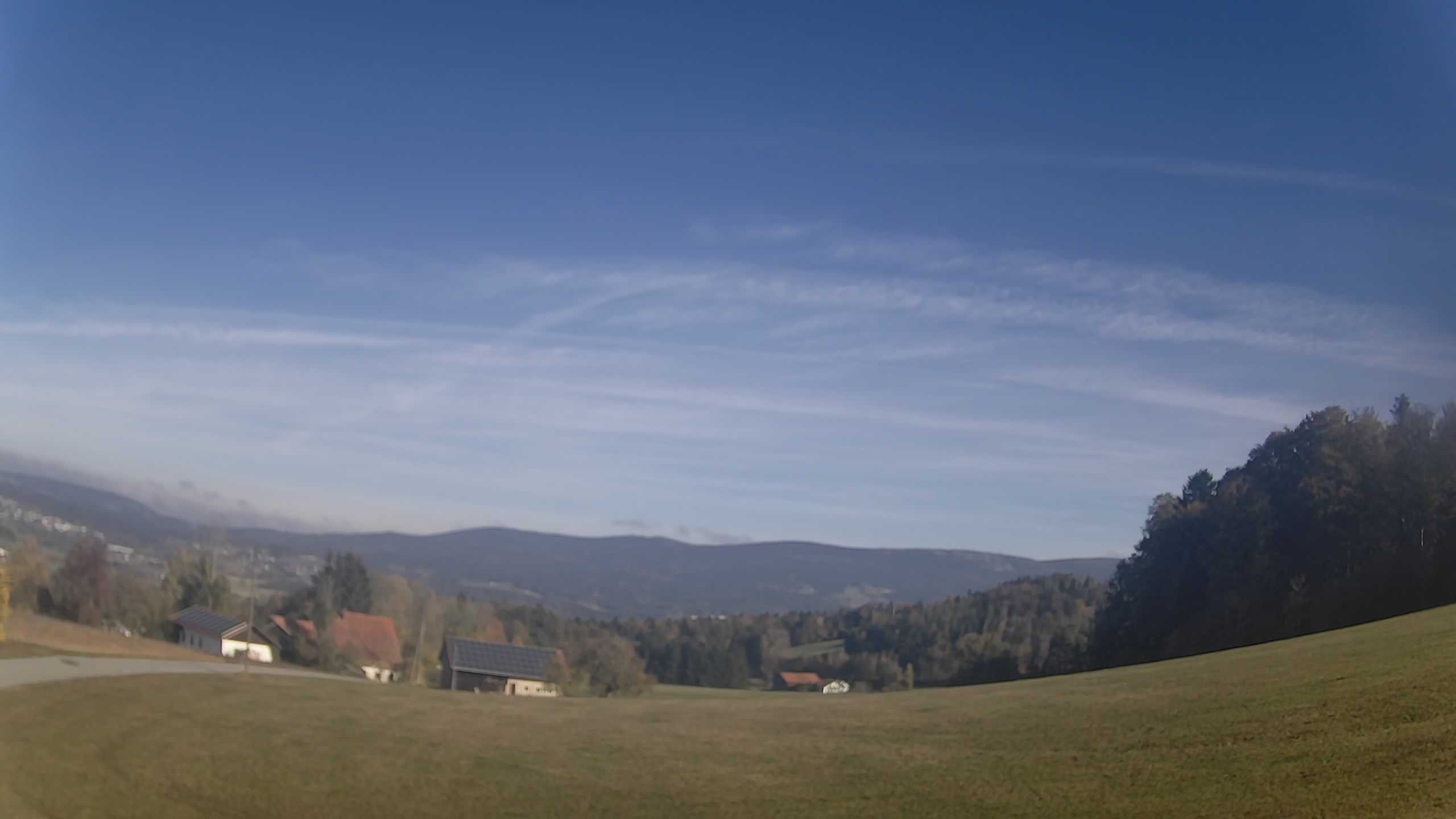 Archiv Foto Webcam Neureichenau