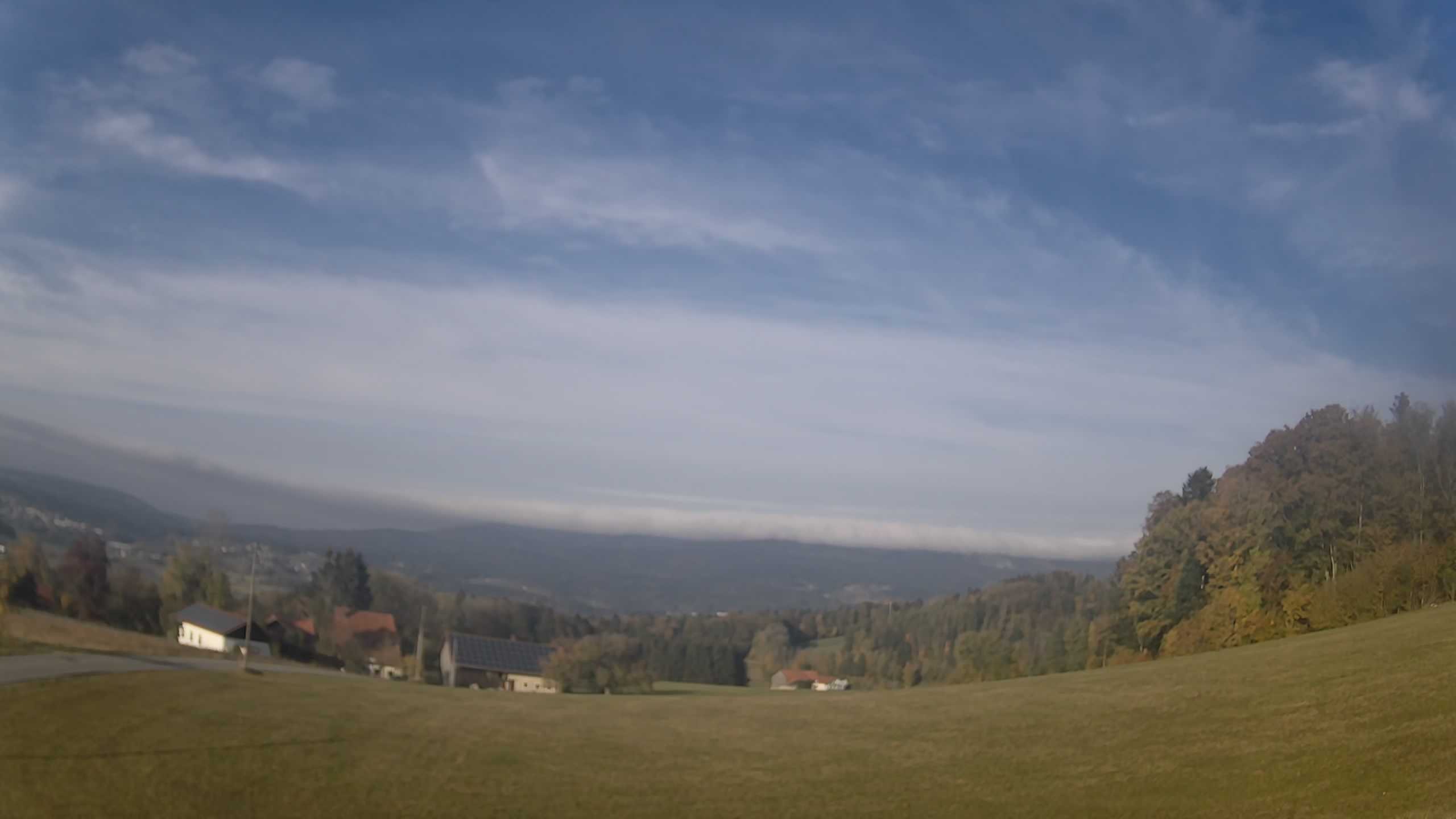 Archiv Foto Webcam Neureichenau